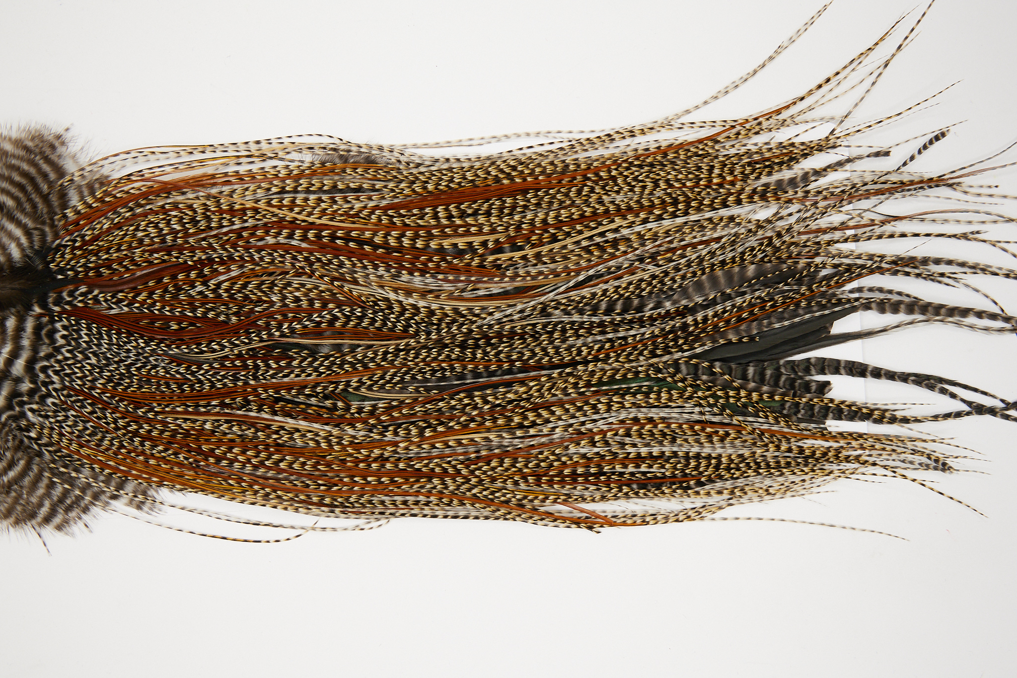 11054 JimsFlyCo Dry Fly Hackle Grade 1 Rooster Saddle Cree Variant Ties Size 16-22