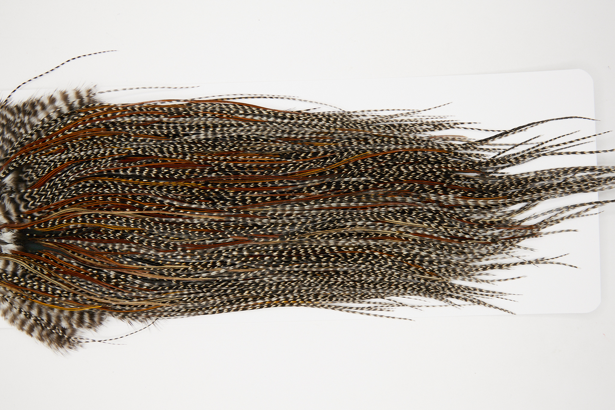 11055 JimsFlyCo Dry Fly Hackle Grade 2 Rooster Saddle Cree Variant Ties Size 16-22