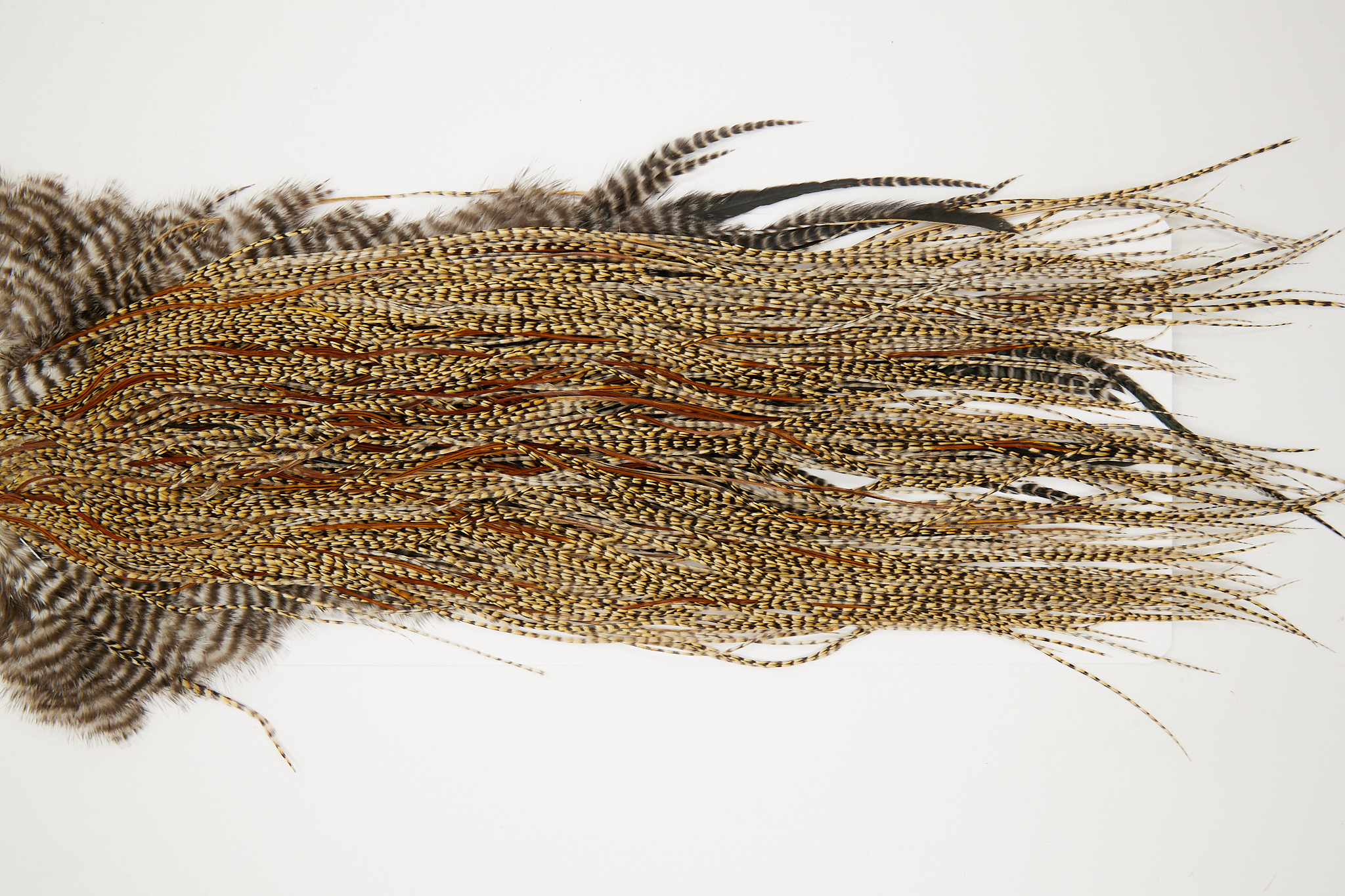 11058 JimsFlyCo Dry Fly Hackle Grade 2 Rooster Saddle Cree Variant Ties Size 16-20