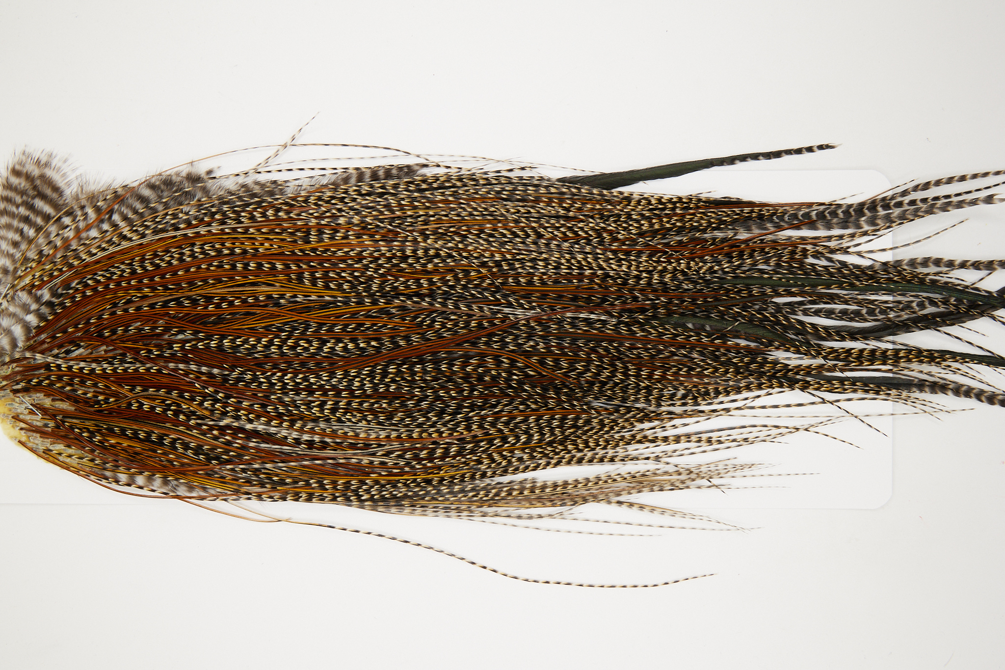 11059 JimsFlyCo Dry Fly Hackle Grade 2 Rooster Saddle Cree Variant Ties Size 16-20