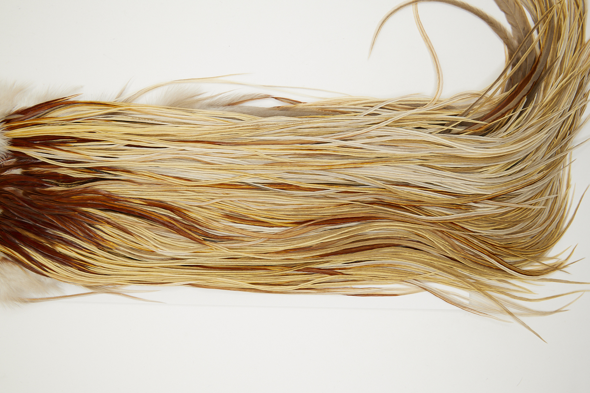 11069 Hebert Dry Fly Hackle Gold Grade Rooster Saddle Light Ginger Dun Ties Size 12-18