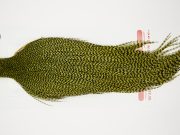 11072 Whiting Dry Fly Hackle Bronze Grade Rooster Cape Grizzly Olive Ties Size 10-22