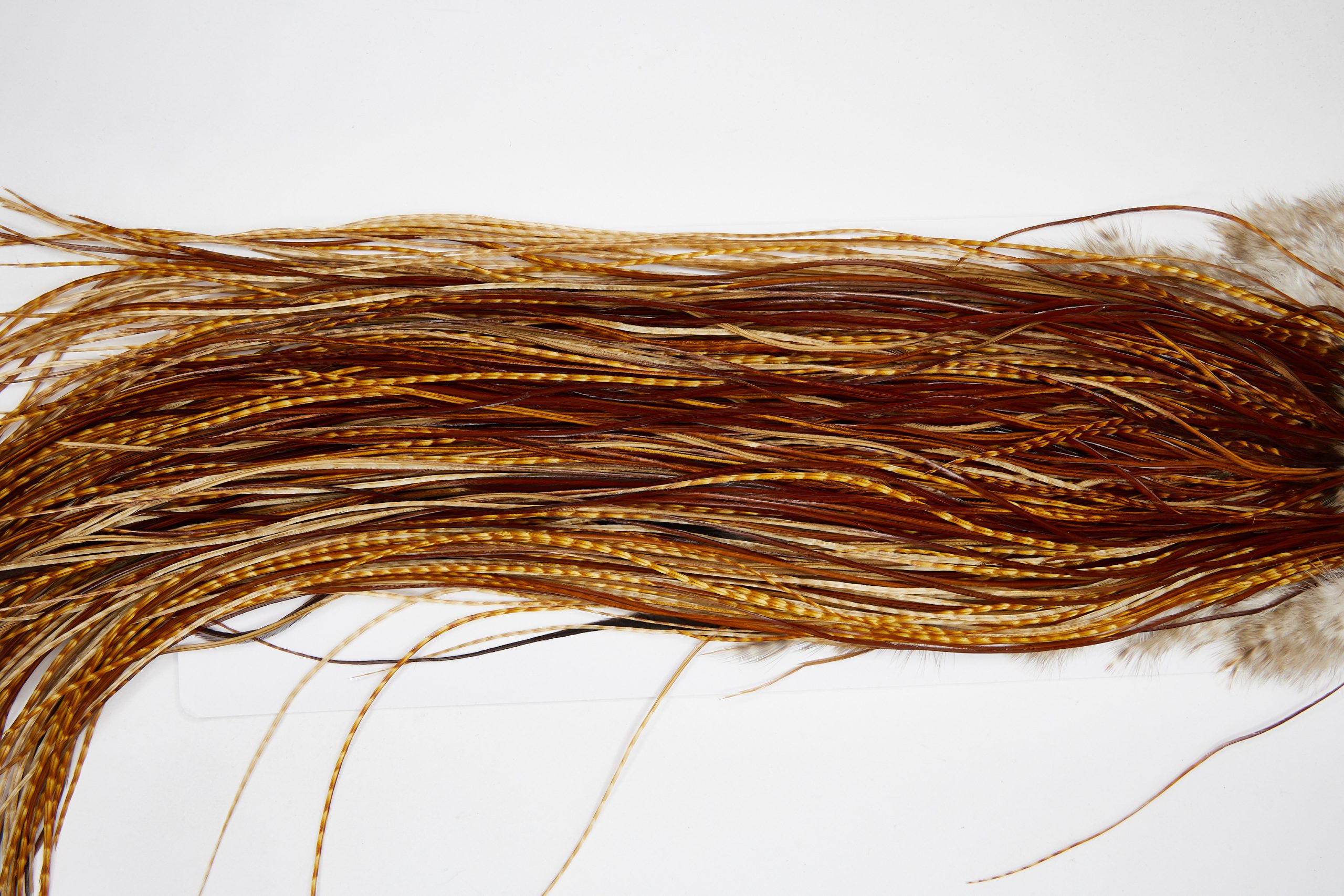 11097 Whiting Wet Fly Hackle Platinum Grade Midge Saddle Dark Barred Ginger Ties Size 16-20