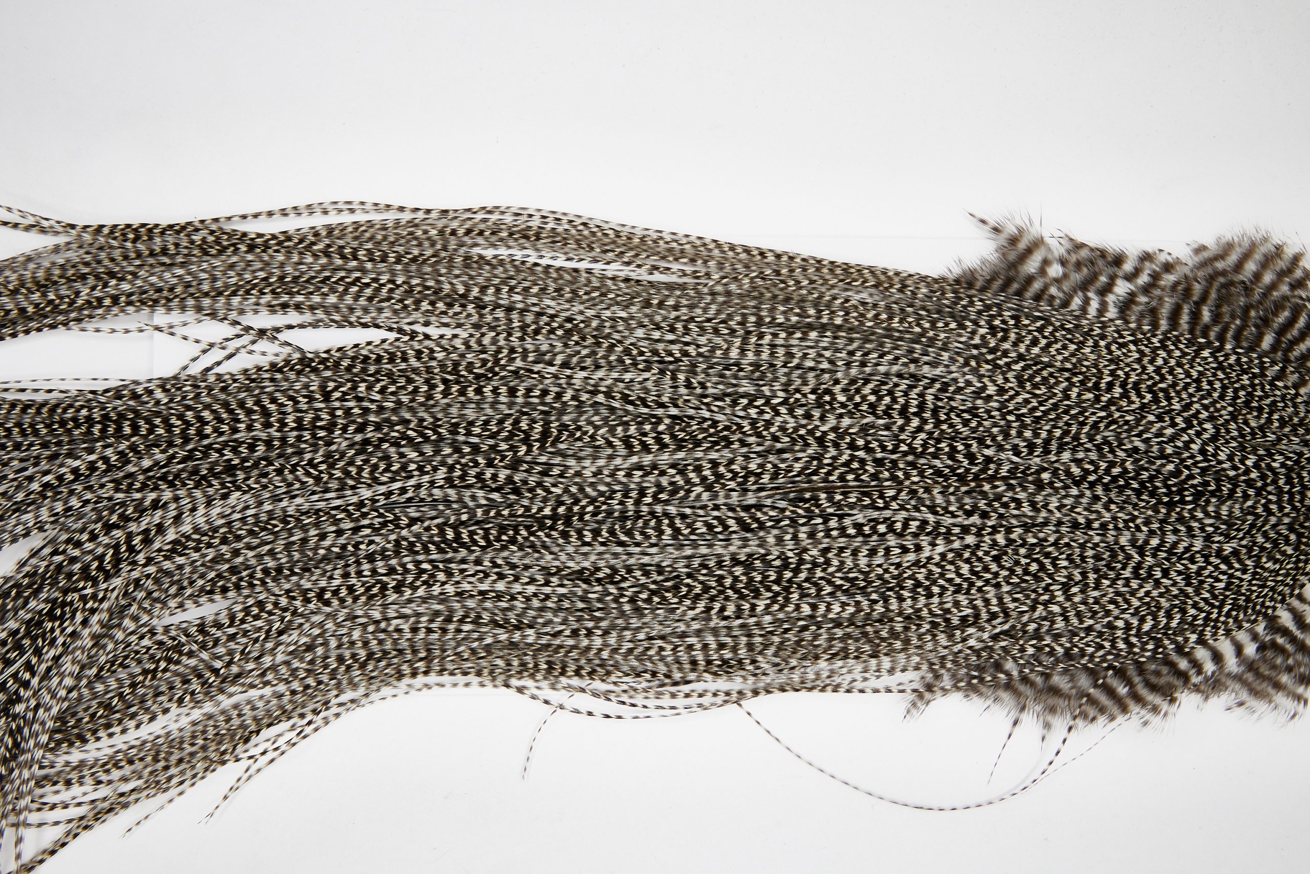 11098 Whiting Wet Fly Hackle Platinum Grade Midge Saddle Grizzly Ties Size 20-22