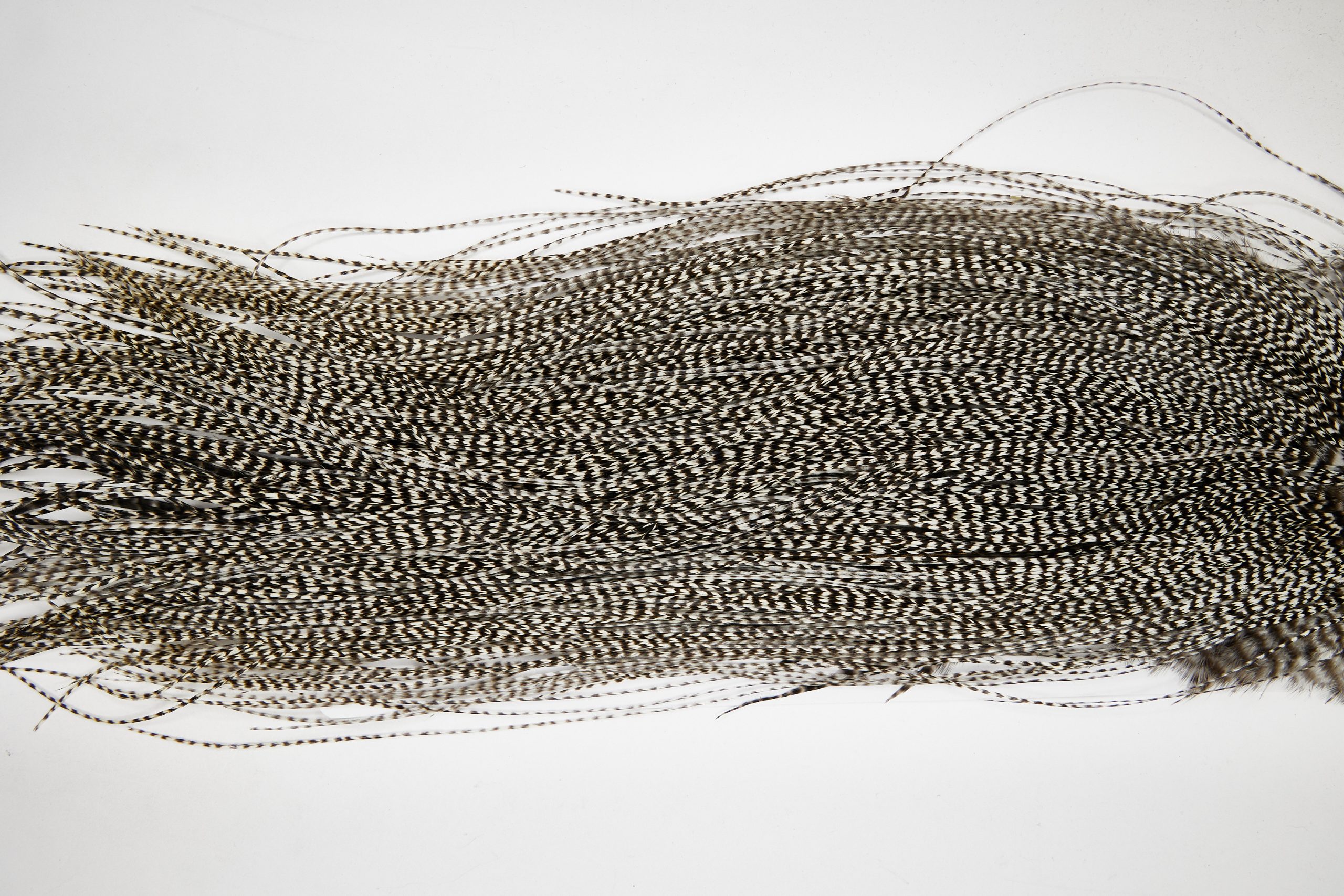 11100 Whiting Wet Fly Hackle Platinum Grade Midge Saddle Grizzly Ties Size 18-22