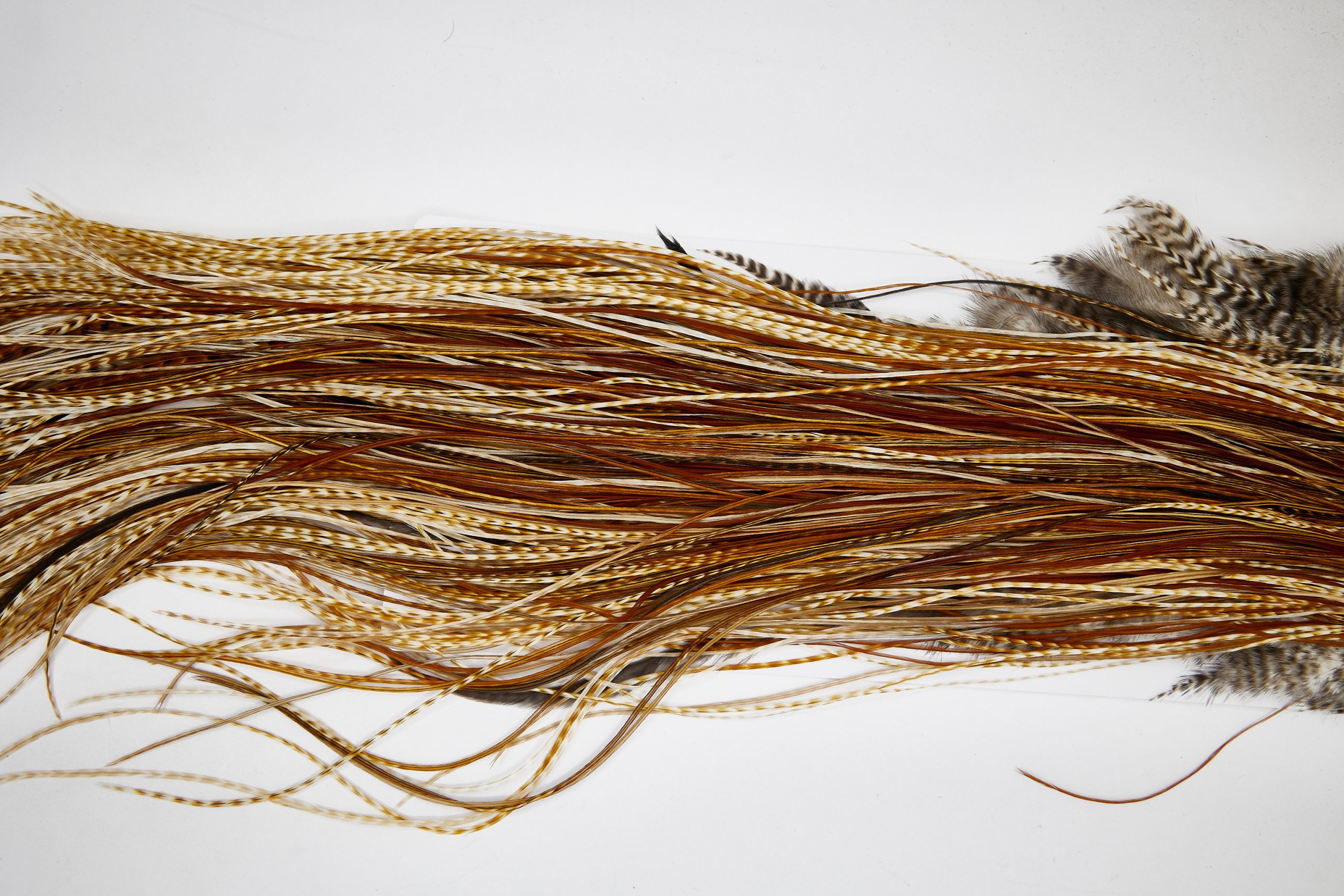 11104 Whiting Wet Fly Hackle Platinum Grade Midge Saddle Barred Medium Ginger Ties Size 16-20
