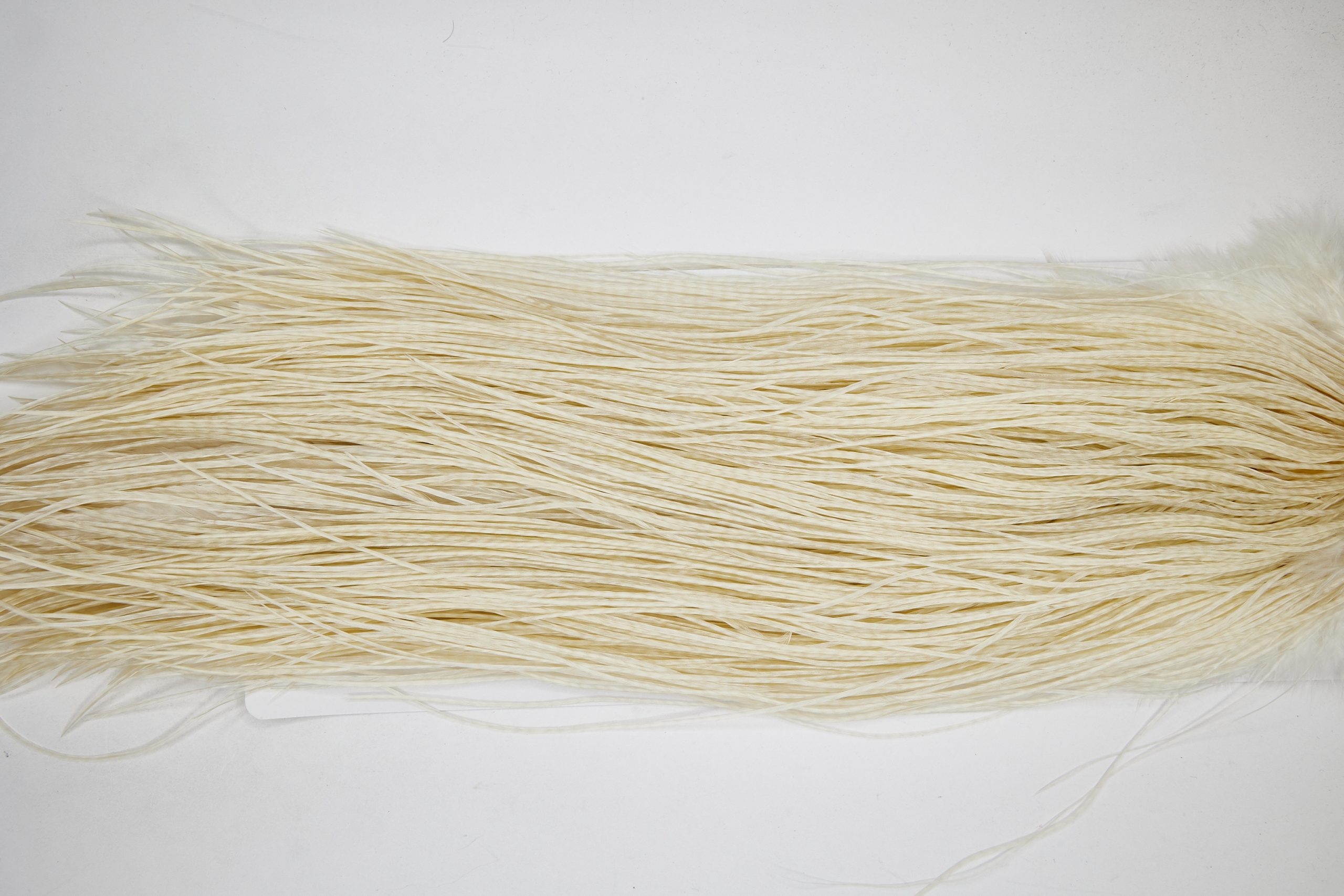 11105 Whiting Wet Fly Hackle Platinum Grade Midge Saddle White Ties Size 18-20