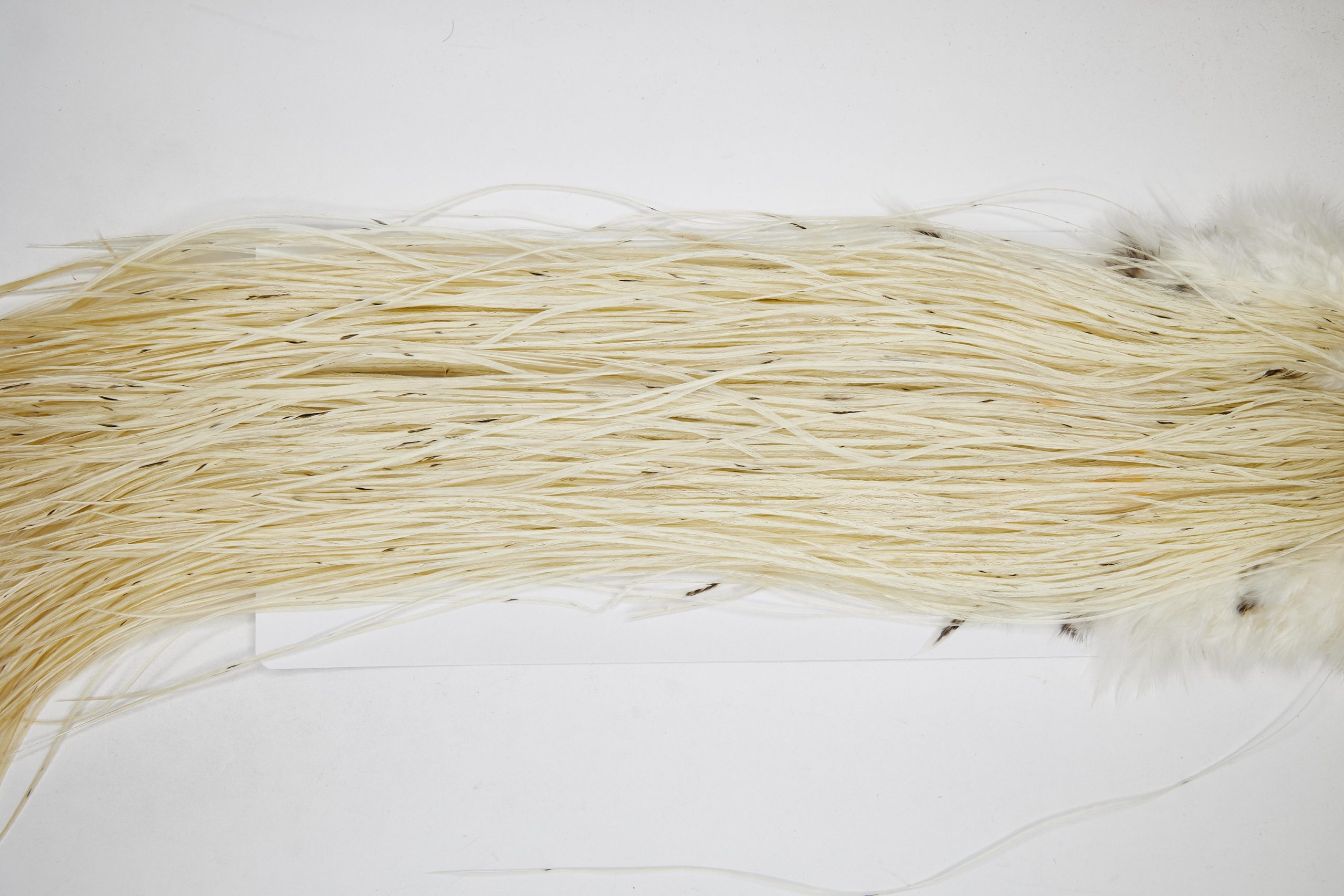 11106 Whiting Wet Fly Hackle Platinum Grade Midge Saddle White Ties Size 18-22