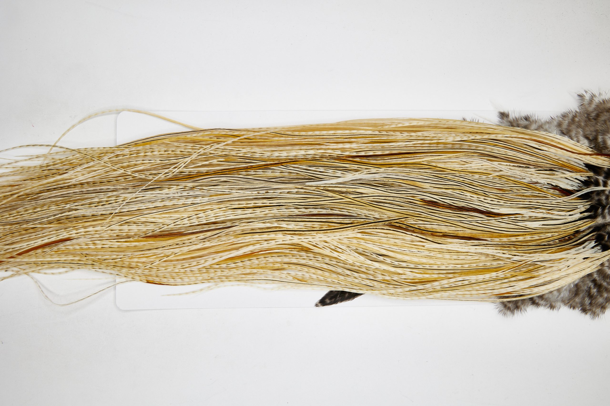 11109 Whiting Wet Fly Hackle Gold Grade Midge Saddle Variant Ties Size 16-20