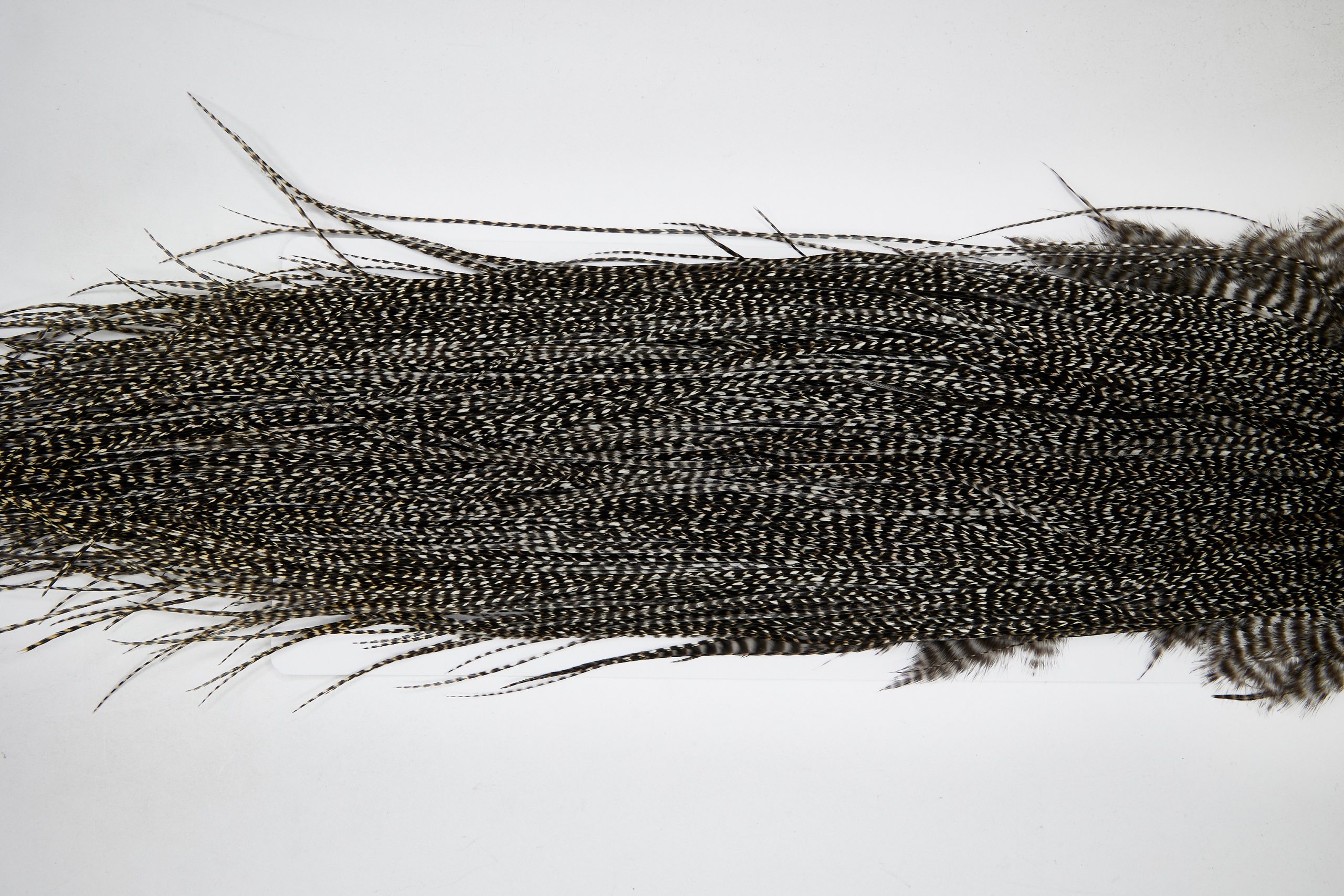 11110 Whiting Wet Fly Hackle Gold Grade Midge Saddle Grizzly Ties Size 18-22