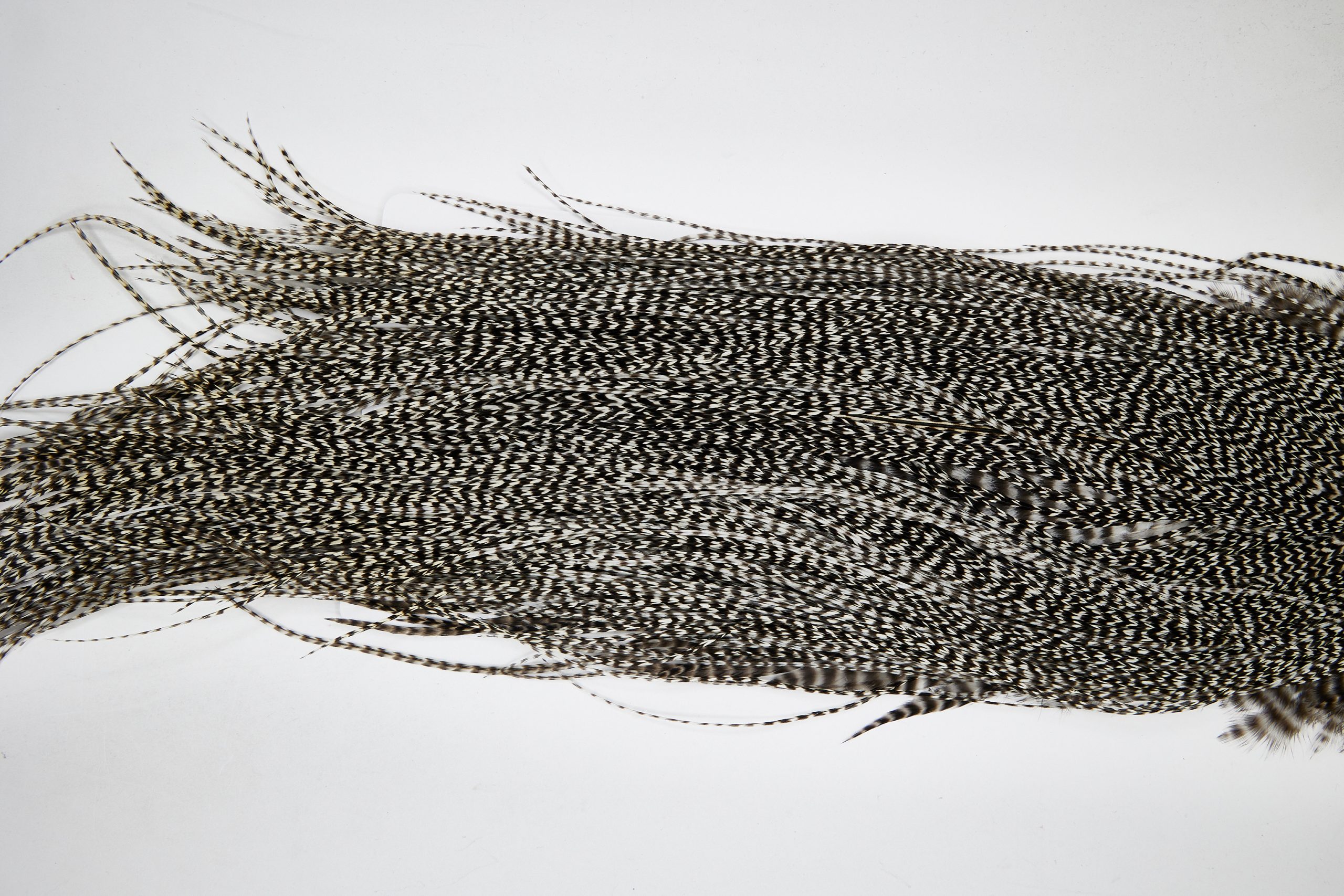 11111 Whiting Wet Fly Hackle Gold Grade Midge Saddle Grizzly Ties Size 18-22