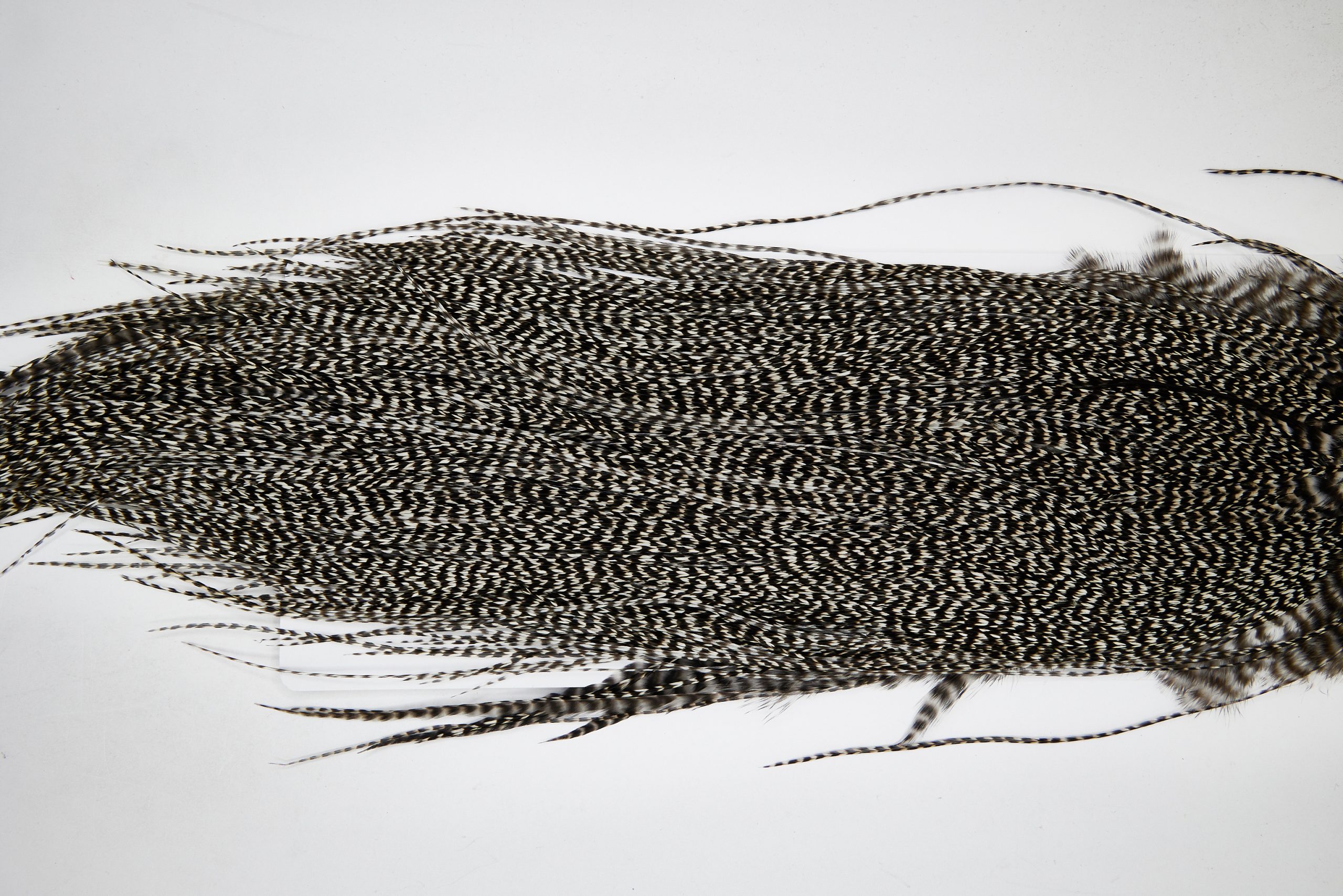 11112 Whiting Wet Fly Hackle Gold Grade Midge Saddle Grizzly Ties Size 14-22