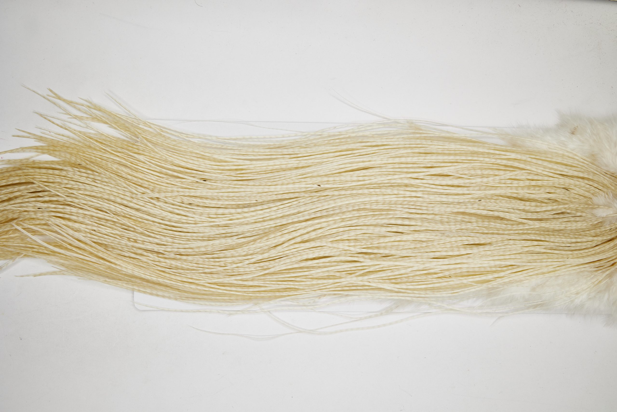 11114 Whiting Wet Fly Hackle Gold Grade Midge Saddle White Ties Size 18-20