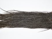 11116 Whiting Wet Fly Hackle Gold Grade Midge Saddle Grizzly Medium Dun Ties Size 16-18