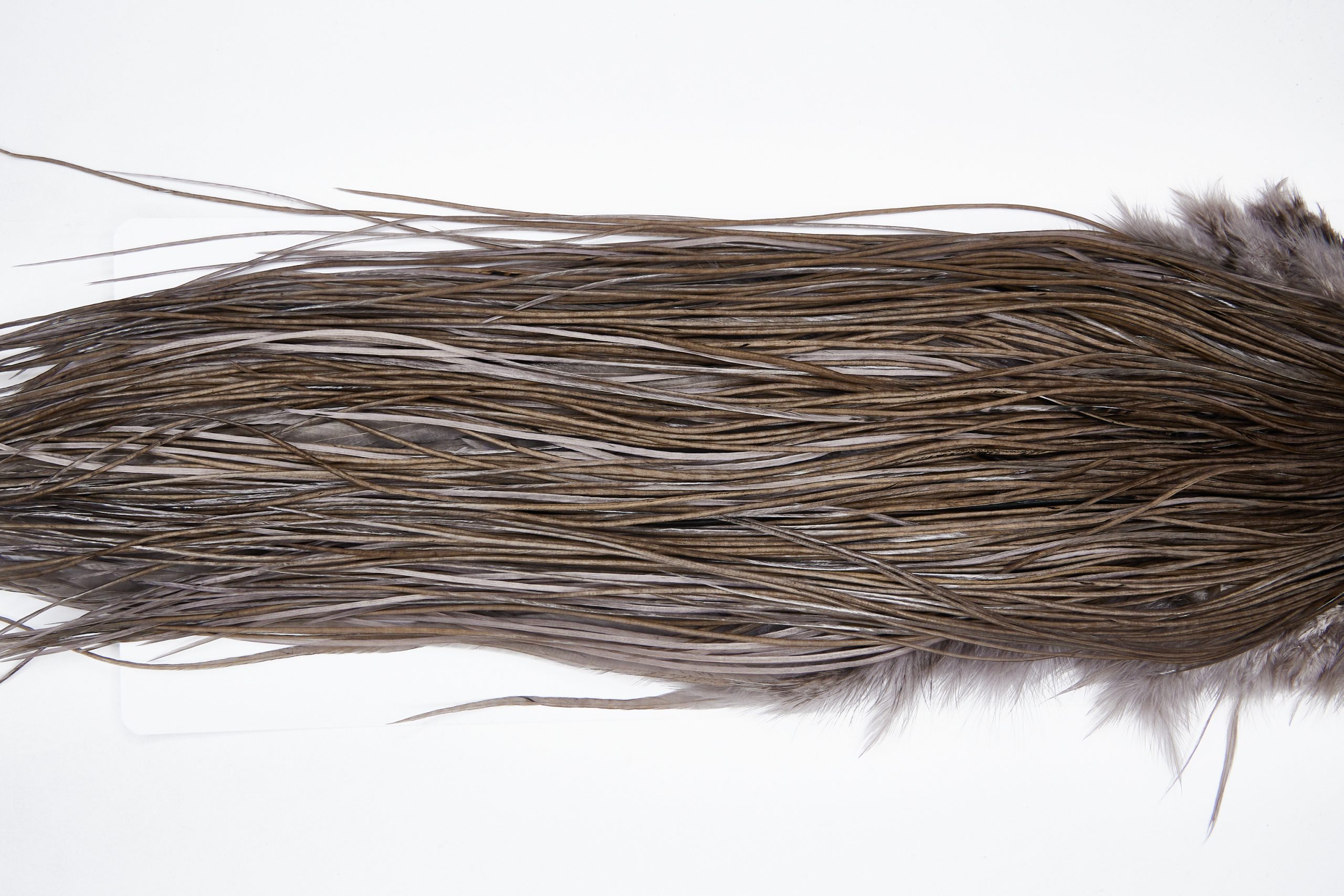 11117 Whiting Wet Fly Hackle Silver Grade Midge Saddle Dark Dun Ties Size 18-20