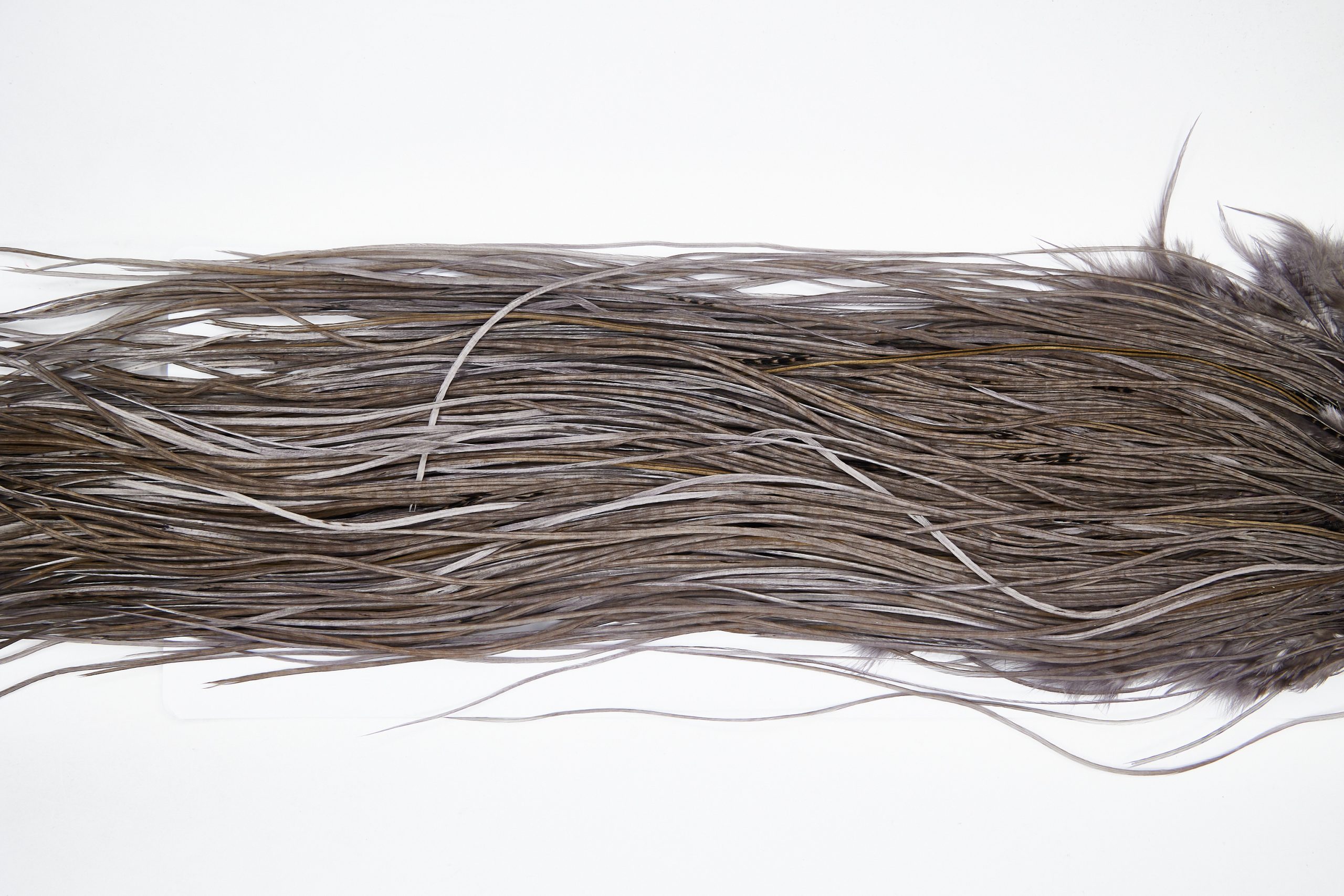 11118 Whiting Wet Fly Hackle Silver Grade Midge Saddle Dark Dun Ties Size 16-18