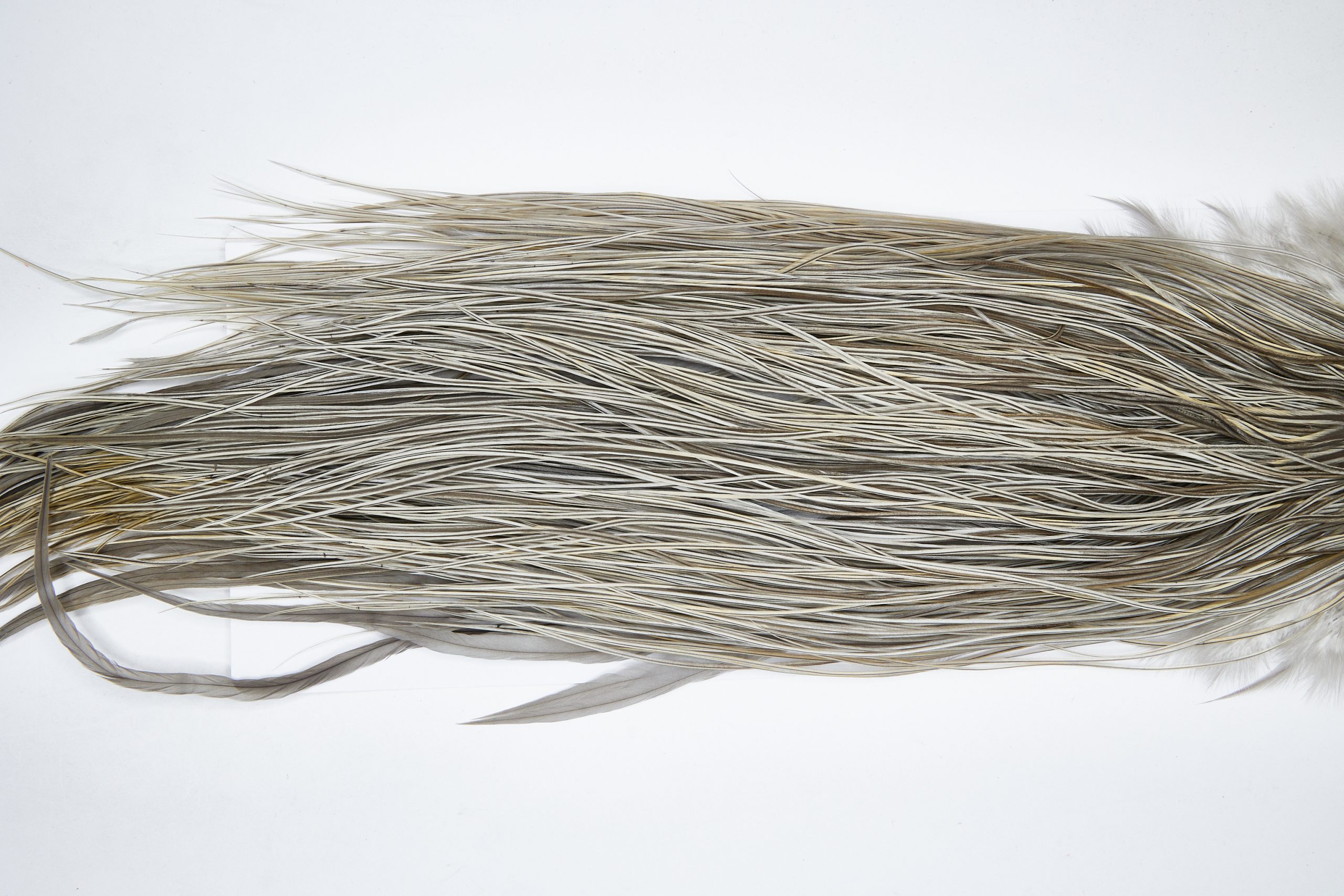 11121 Whiting Wet Fly Hackle Silver Grade Midge Saddle Natural Dun Ties Size 16-20