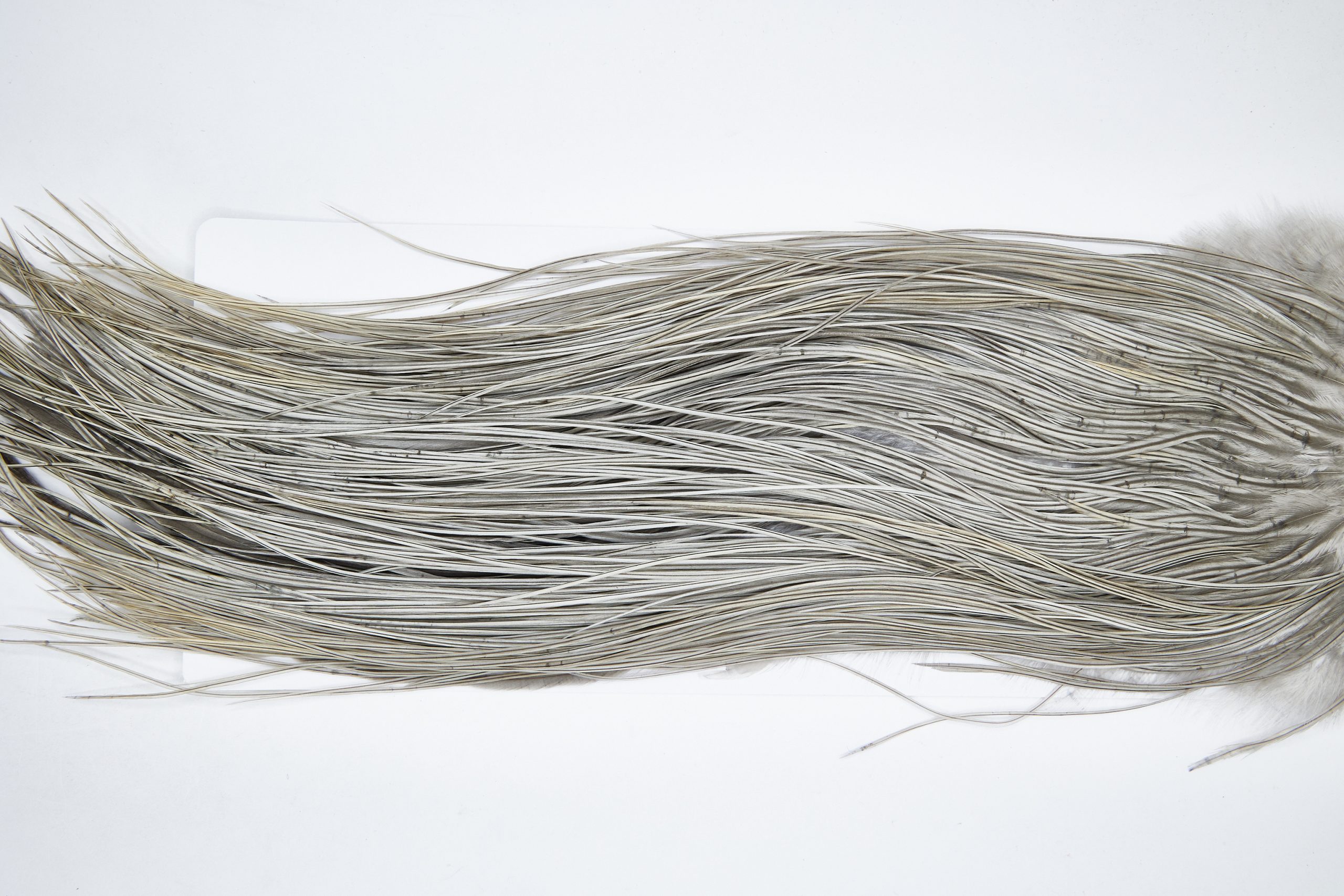 11122 Whiting Wet Fly Hackle Silver Grade Midge Saddle Natural Dun Ties Size 16-18