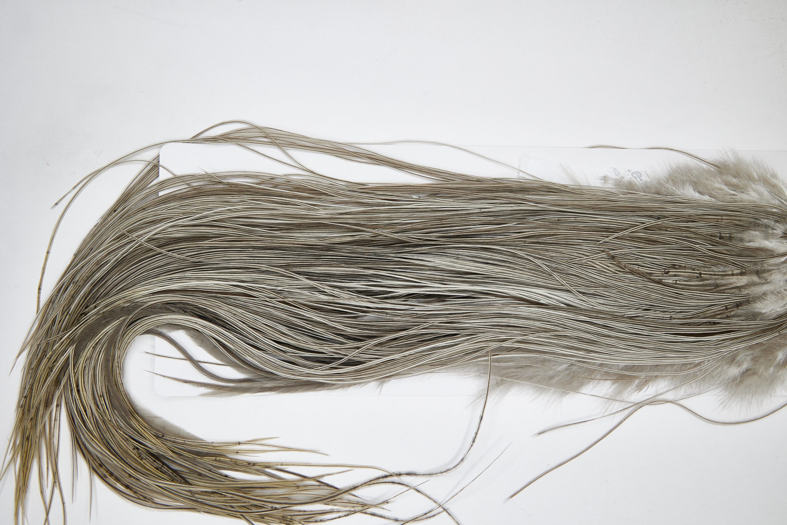 11124 Whiting Wet Fly Hackle Silver Grade Midge Saddle Natural Dun Ties Size 16-20