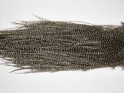 11126 Whiting Wet Fly Hackle Silver Grade Midge Saddle Grizzly Ties Size 18-20