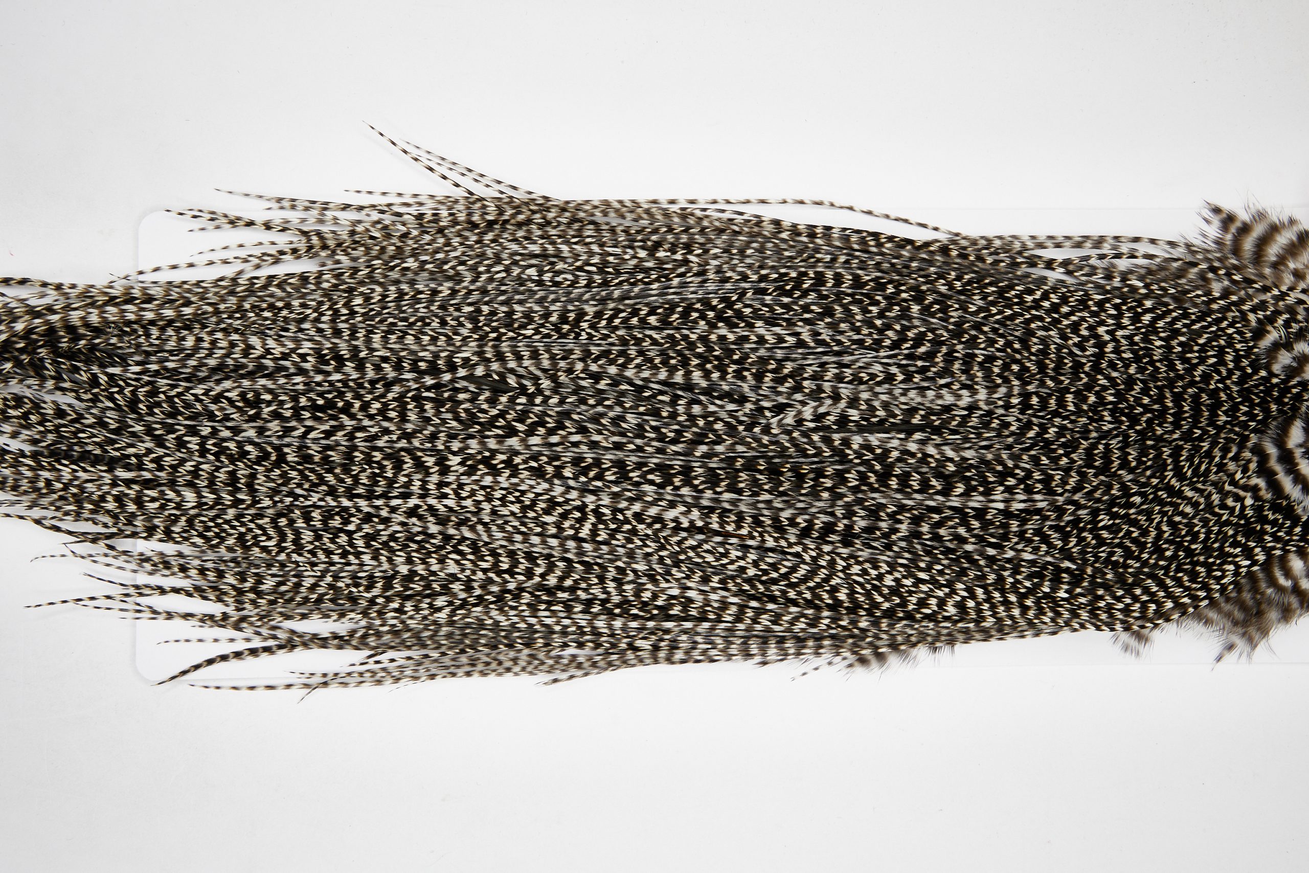 11126 Whiting Wet Fly Hackle Silver Grade Midge Saddle Grizzly Ties Size 18-20