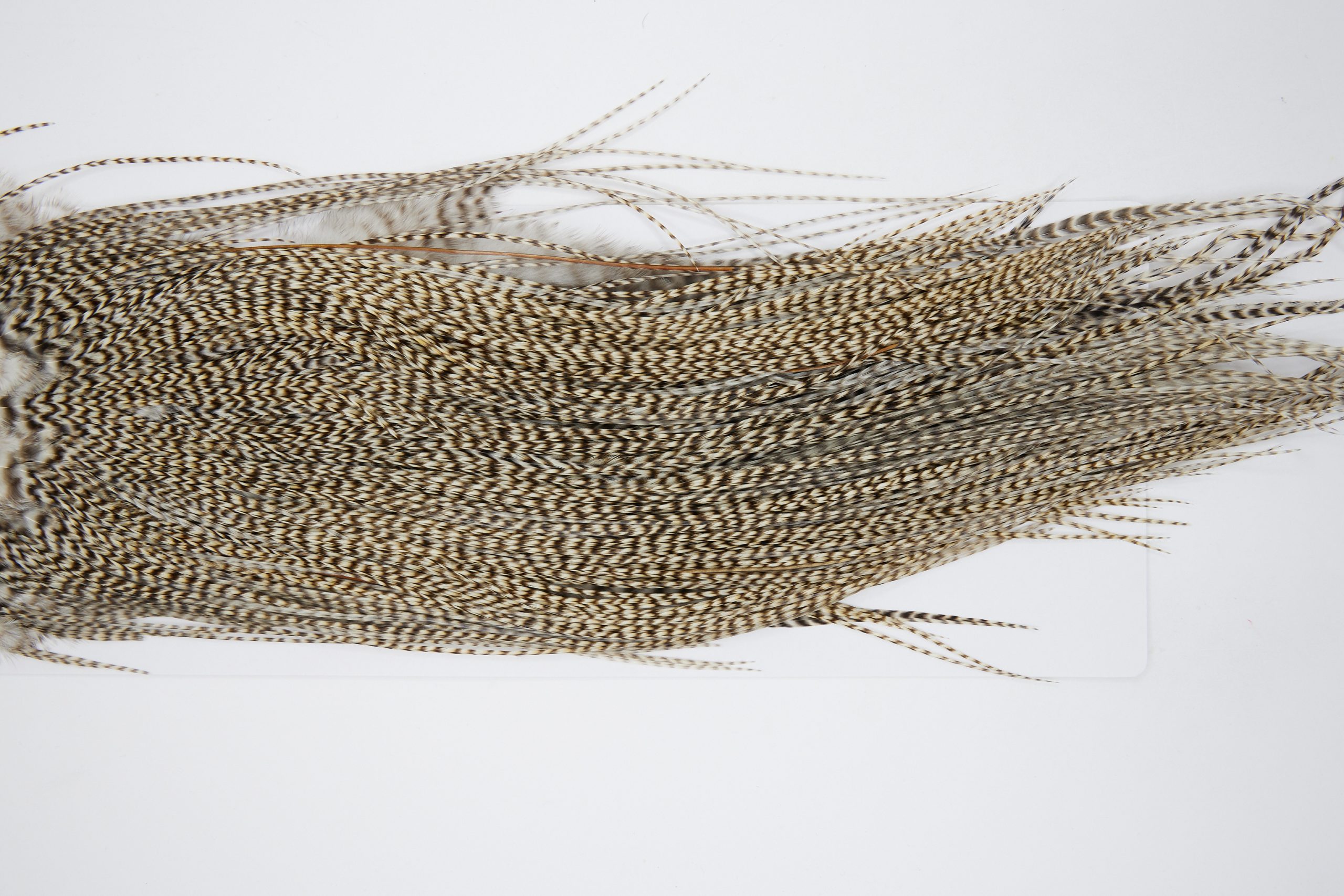 11134 Whiting Wet Fly Hackle Bronze Grade Midge Saddle Dun Grizzly Ties Size 14-20