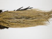 11143 Whiting Wet Fly Hackle Pro Grade Midge Saddle Golden Badger Ties Size 14-18