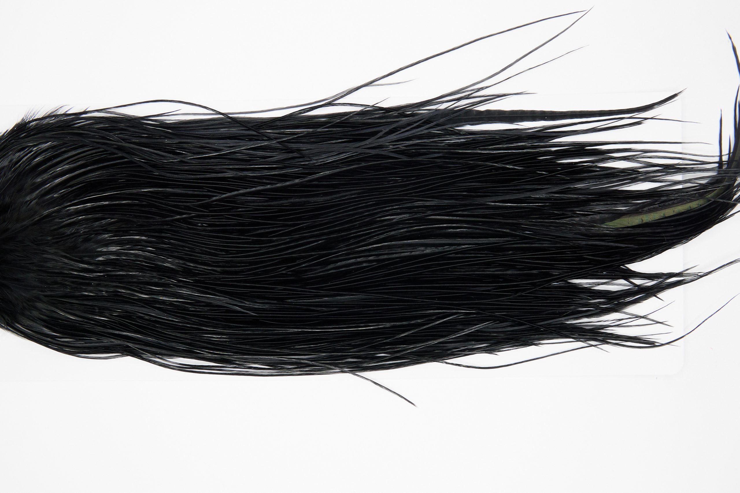11144 Whiting Wet Fly Hackle Pro Grade Midge Saddle Black Ties Size 16-18