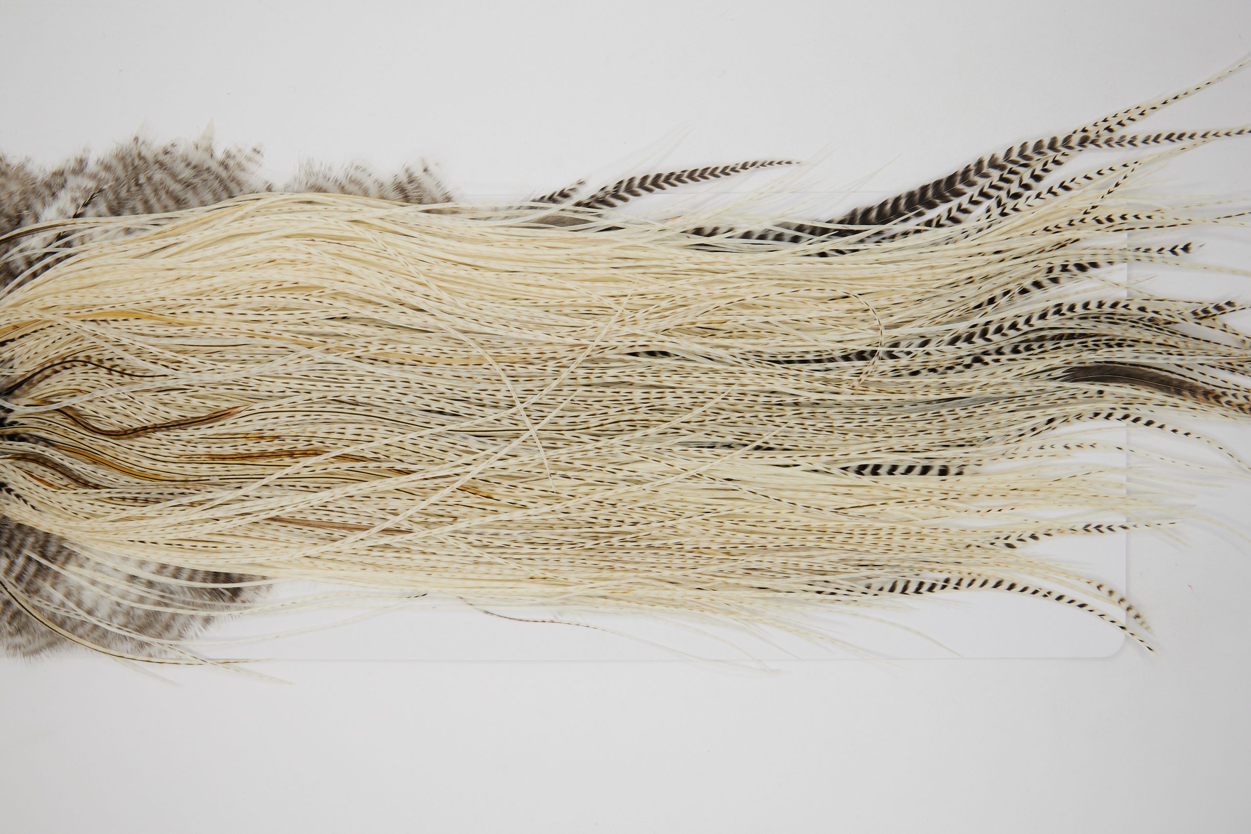 11150 Whiting Wet Fly Hackle Pro Grade Midge Saddle Variant Ties Size 16-20