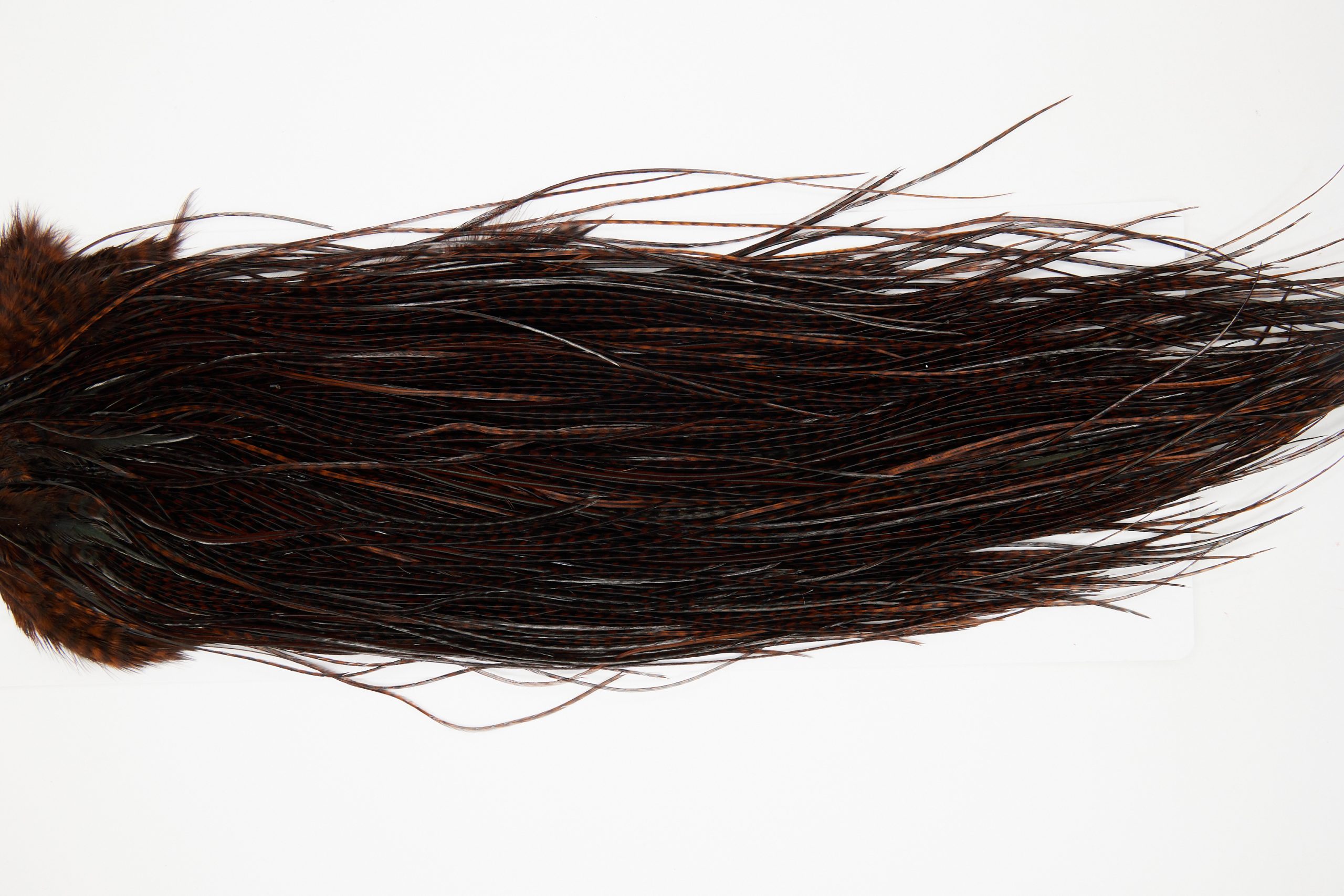 11154 Whiting Wet Fly Hackle Pro Grade Midge Saddle Grizzly Coachman Brown Ties Size 16-20