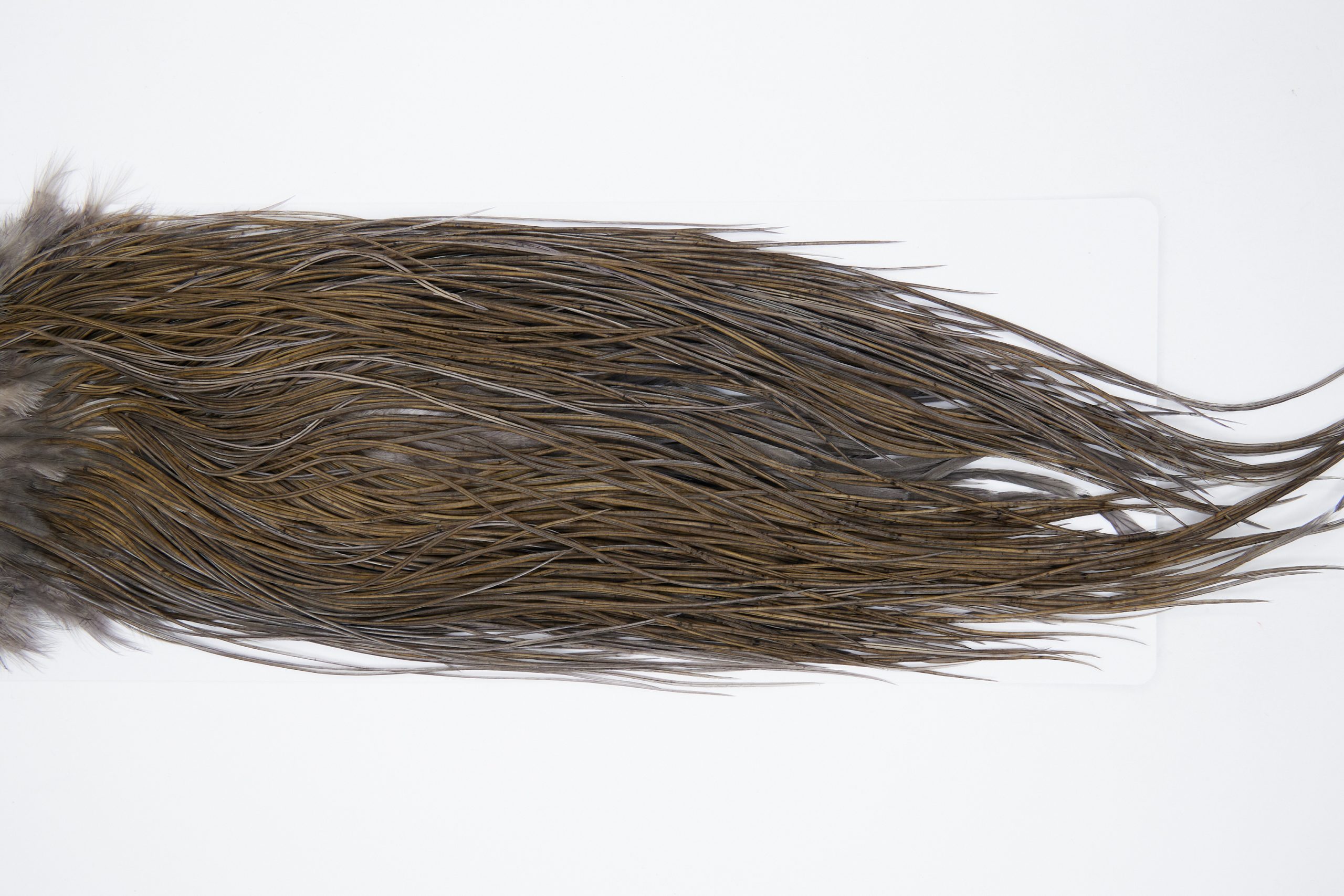 11156 Whiting Wet Fly Hackle Pro Grade Midge Saddle Dark Dun Ties Size 14-18