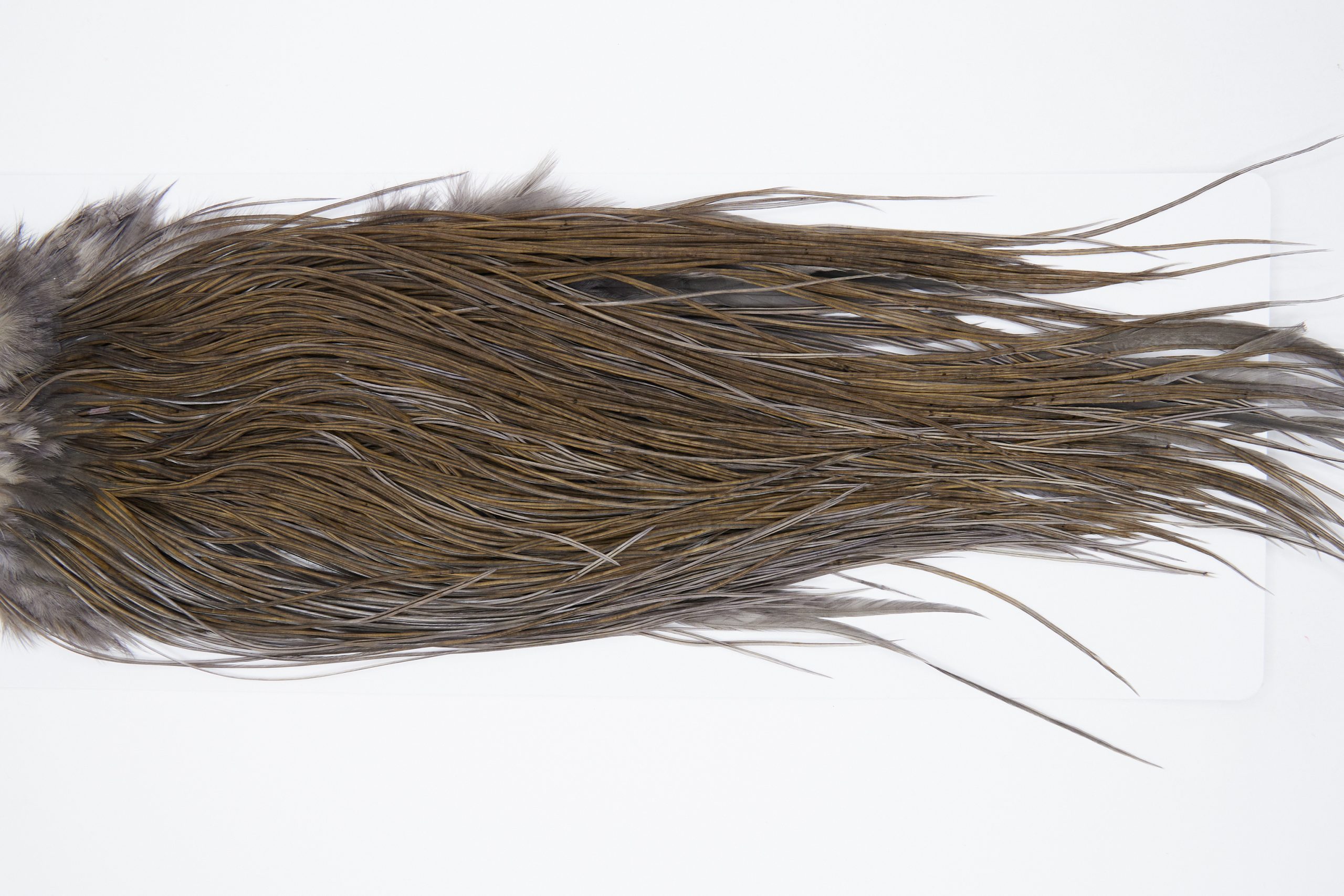 11157 Whiting Wet Fly Hackle Pro Grade Midge Saddle Dark Dun Ties Size 18-20