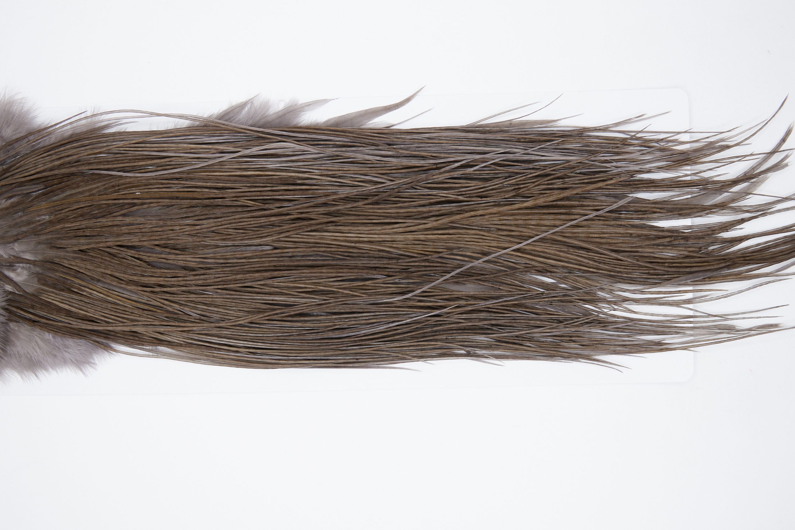 11160 Whiting Wet Fly Hackle Pro Grade Midge Saddle Dark Dun Ties Size 16-18