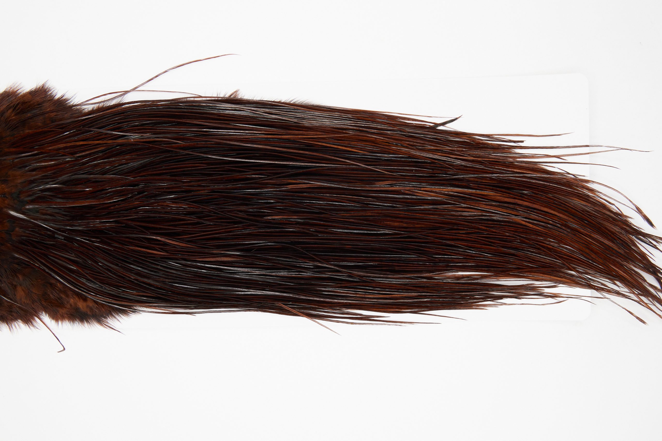 11165 Whiting Wet Fly Hackle Pro Grade Midge Saddle Coachman Brown Ties Size 18-20