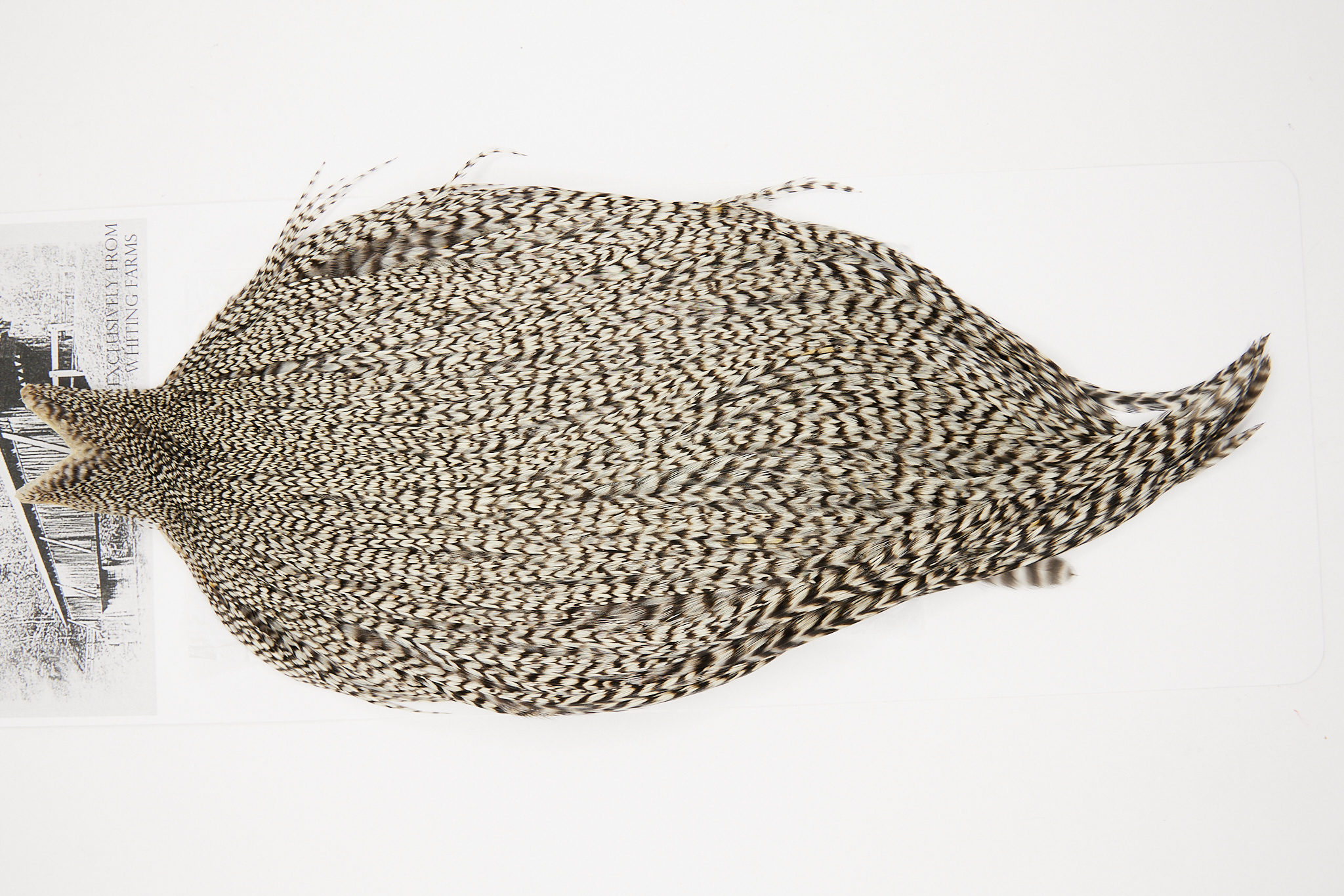 10261a Beaverkill Dry Fly Hackle Rooster Cape Grizzly Ties Size 10-18