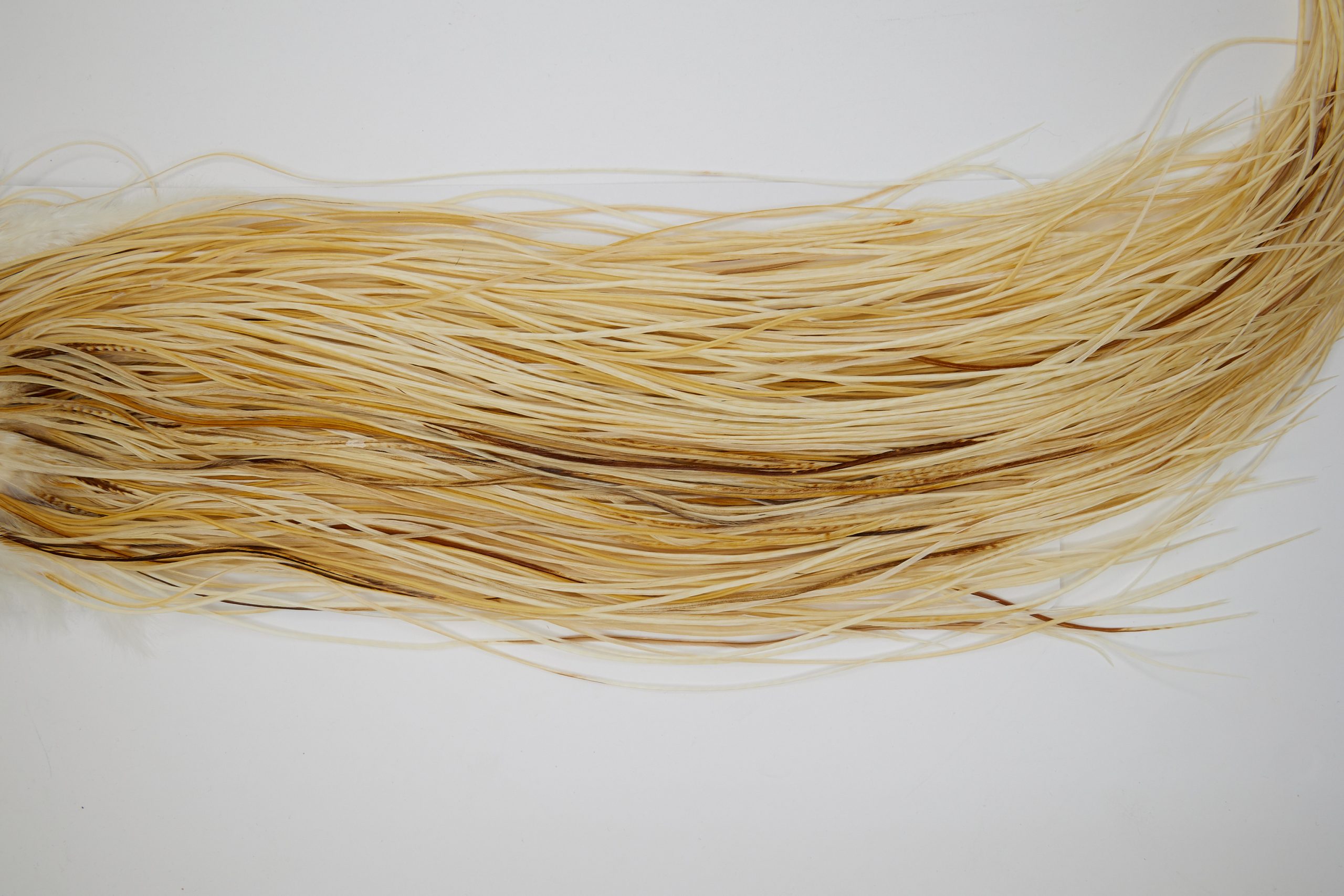 11168 Whiting Dry Fly Hackle Gold Grade Rooster Saddle Light Ginger Ties Size 16-18