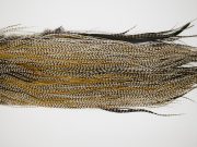 11170 Whiting Dry Fly Hackle Gold Grade Rooster Saddle Grizzly Variant Ties Size 16-18