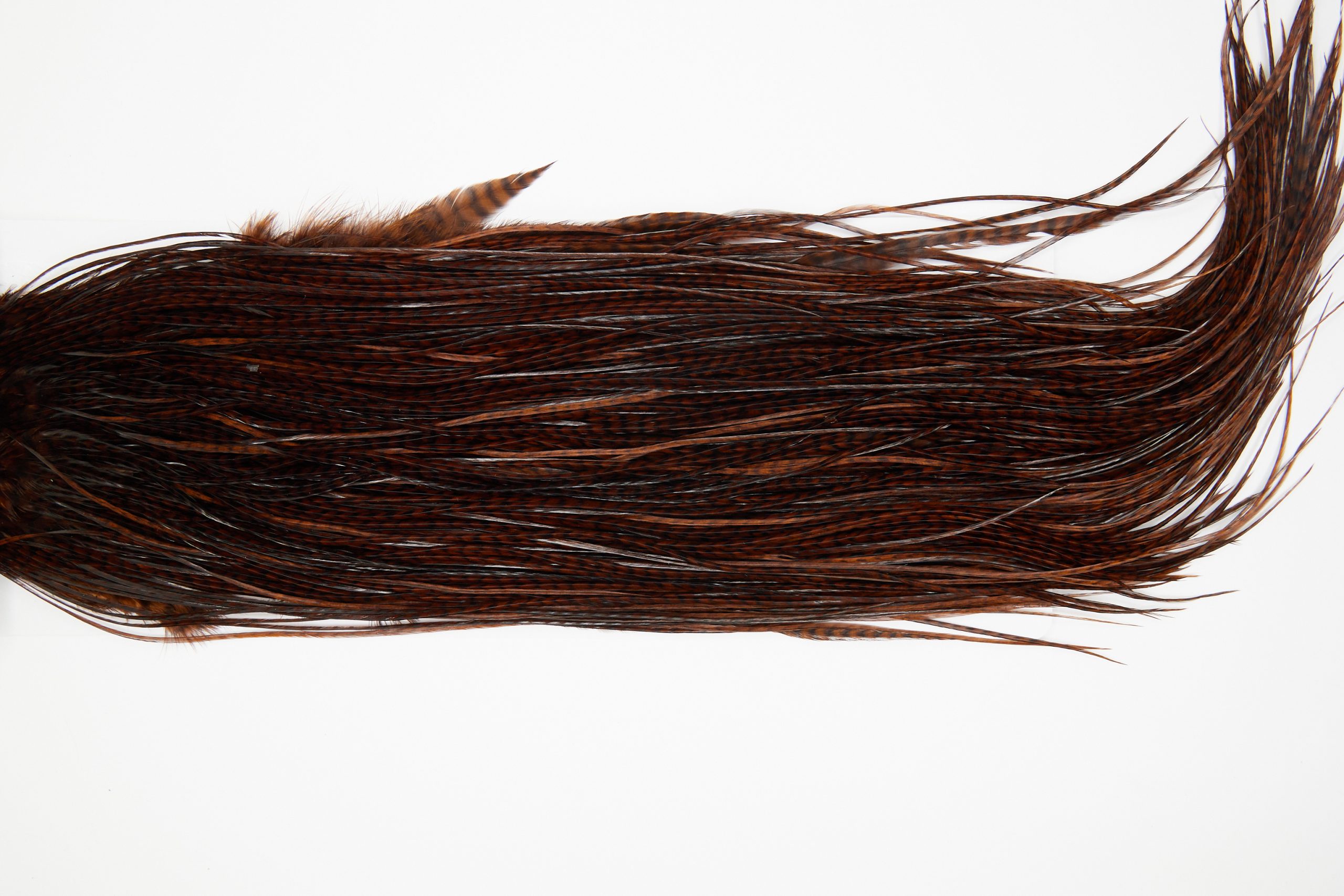 11172 Whiting Dry Fly Hackle Gold Grade Rooster Saddle Grizzly Coachman Brown Ties Size 14-16