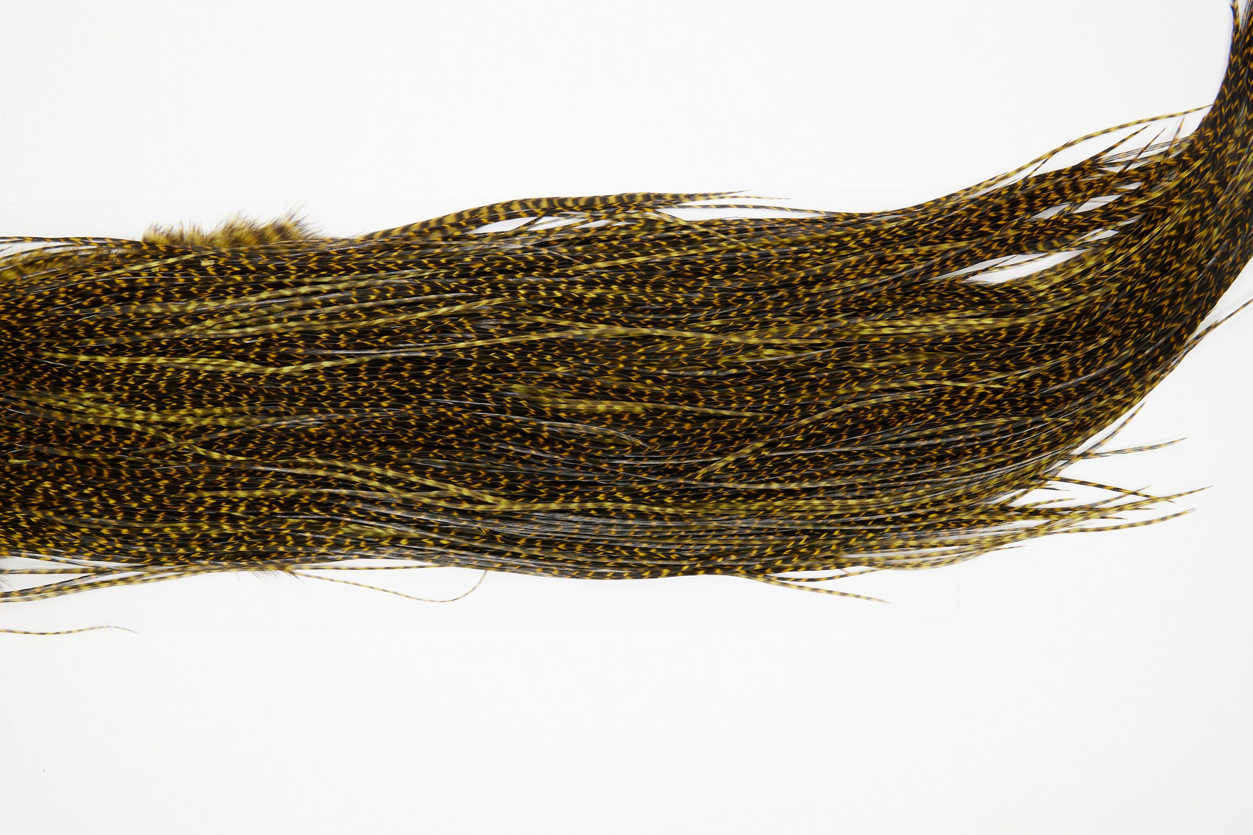 11173 Whiting Dry Fly Hackle Gold Grade Rooster Saddle Grizzly Golden Olive Ties Size 12-16