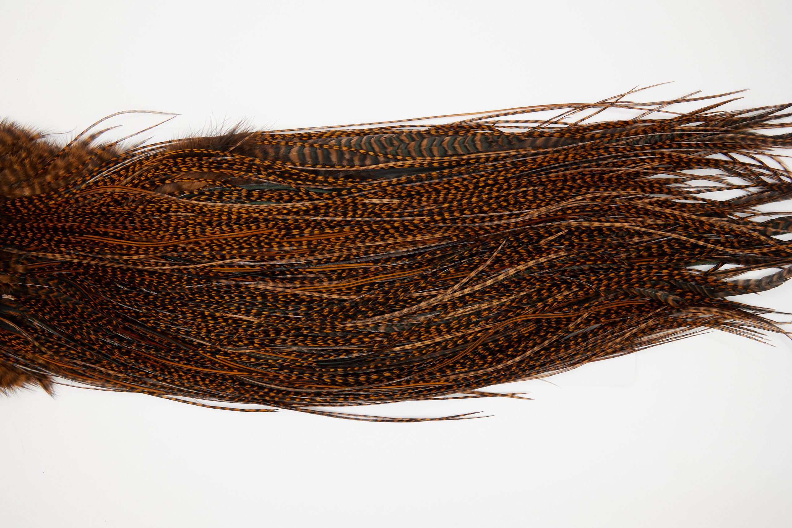 11178 Whiting Dry Fly Hackle Gold Grade Rooster Saddle Grizzly Brown Ties Size 16-18