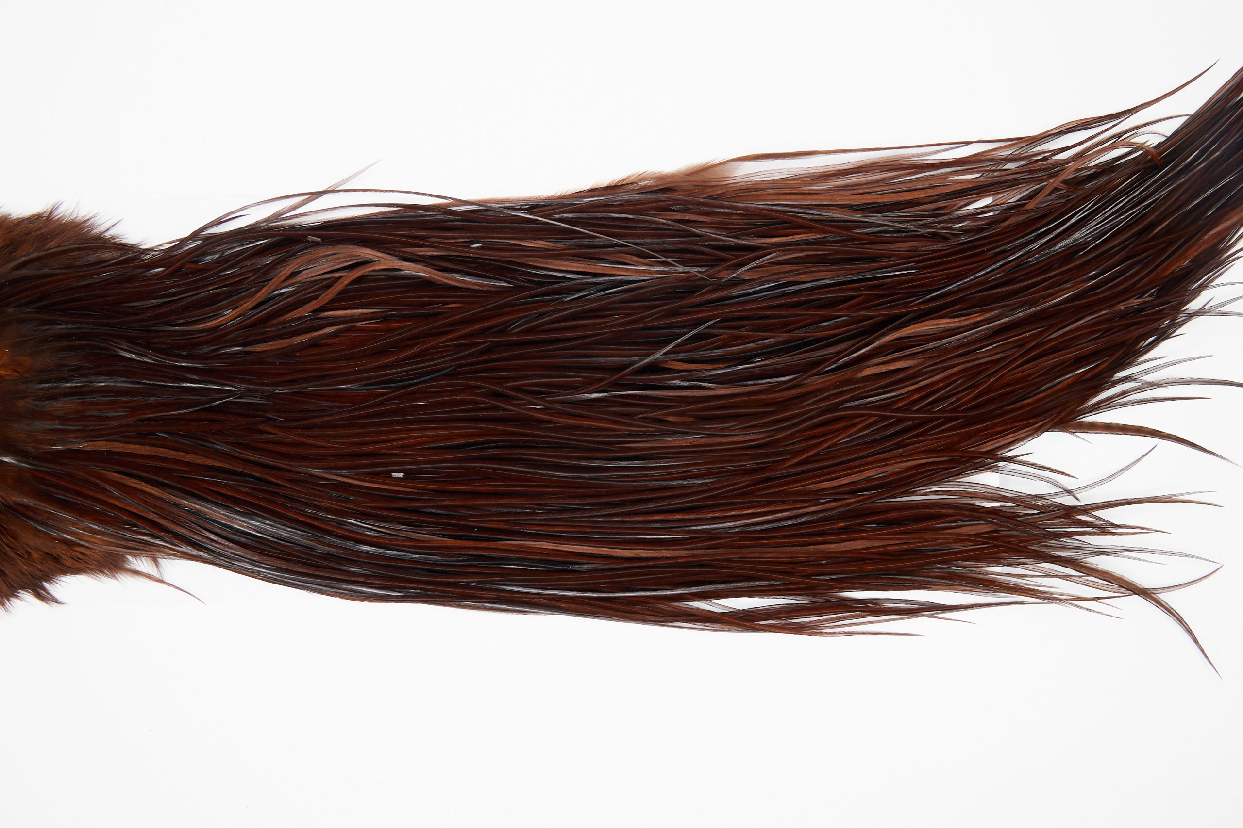 11181 Whiting Dry Fly Hackle Gold Grade Rooster Saddle Coachman Brown Ties Size 12-16