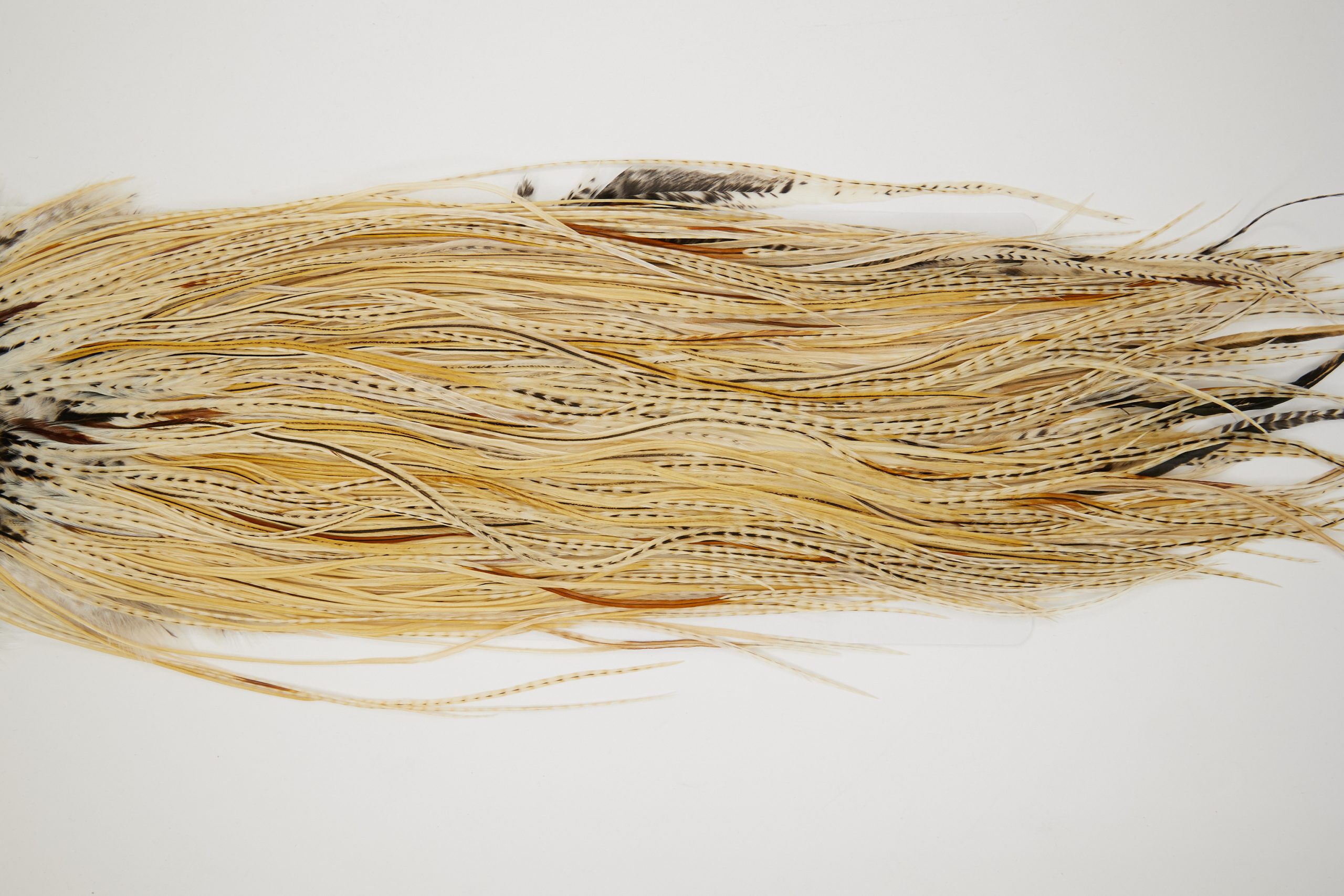 11183 Whiting Dry Fly Hackle Silver Grade Rooster Saddle Variant Ties Size 14-16