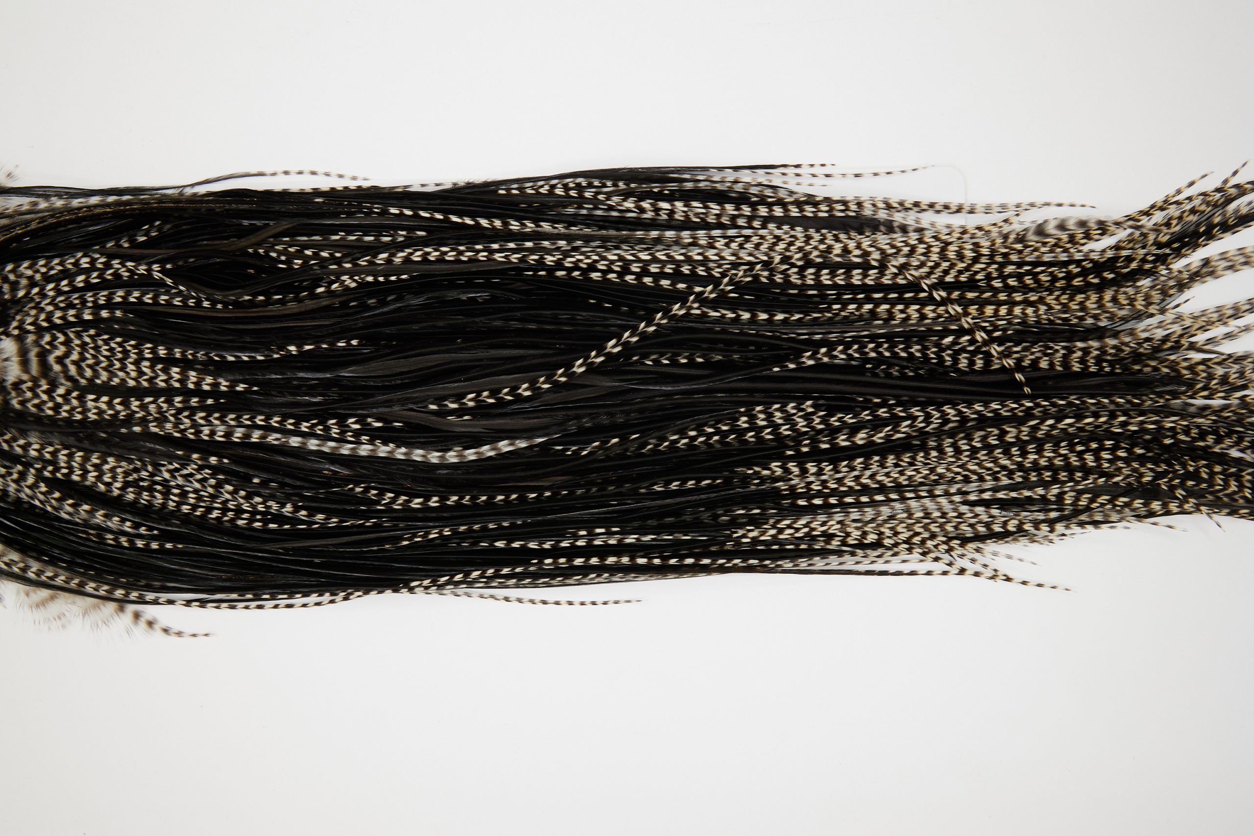 11184 Whiting Dry Fly Hackle Silver Grade Rooster Saddle Grizzly Variant Ties Size 12-14