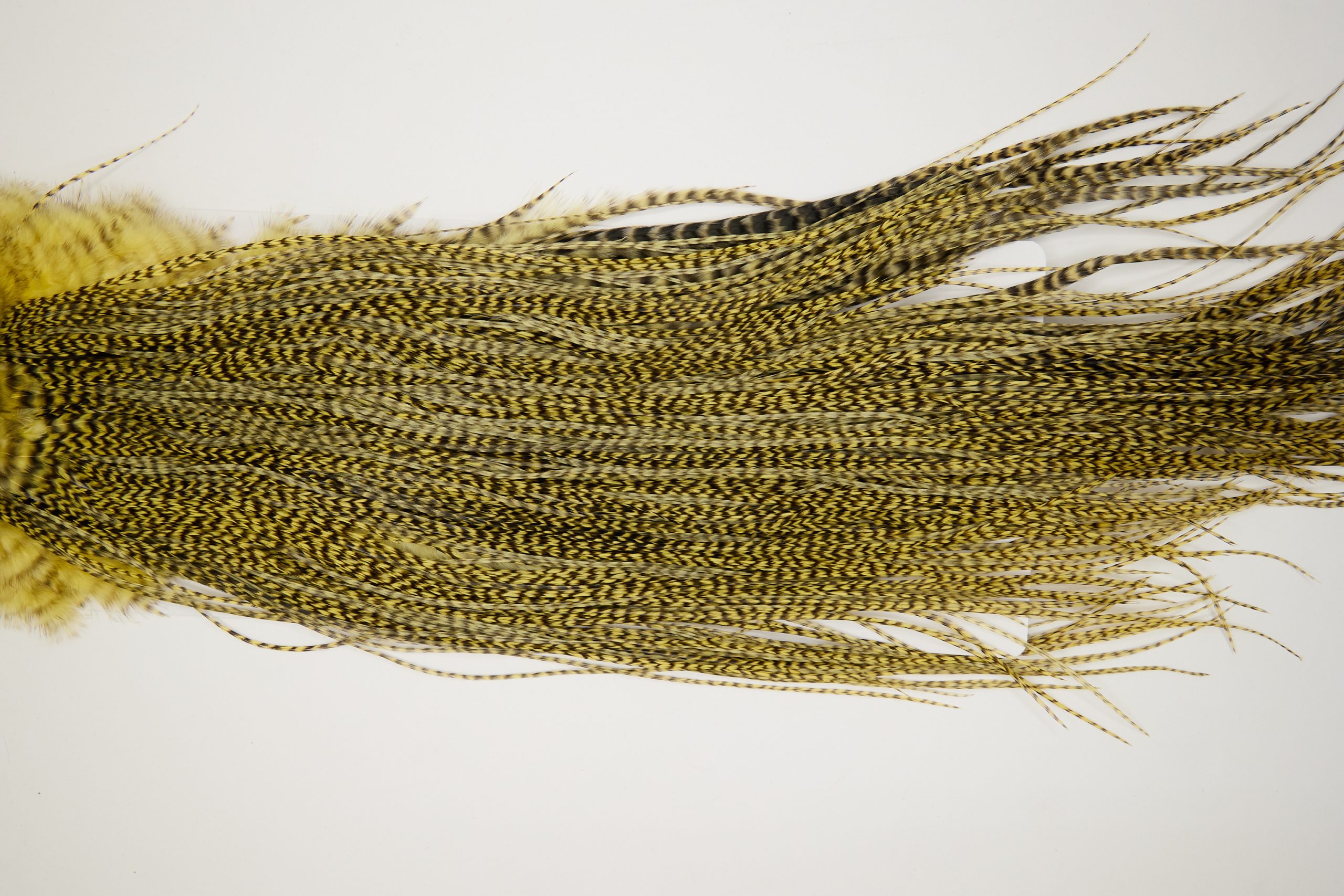 11195 Whiting Dry Fly Hackle Silver Grade Rooster Saddle Grizzly Pale Yellow Ties Size 14-16