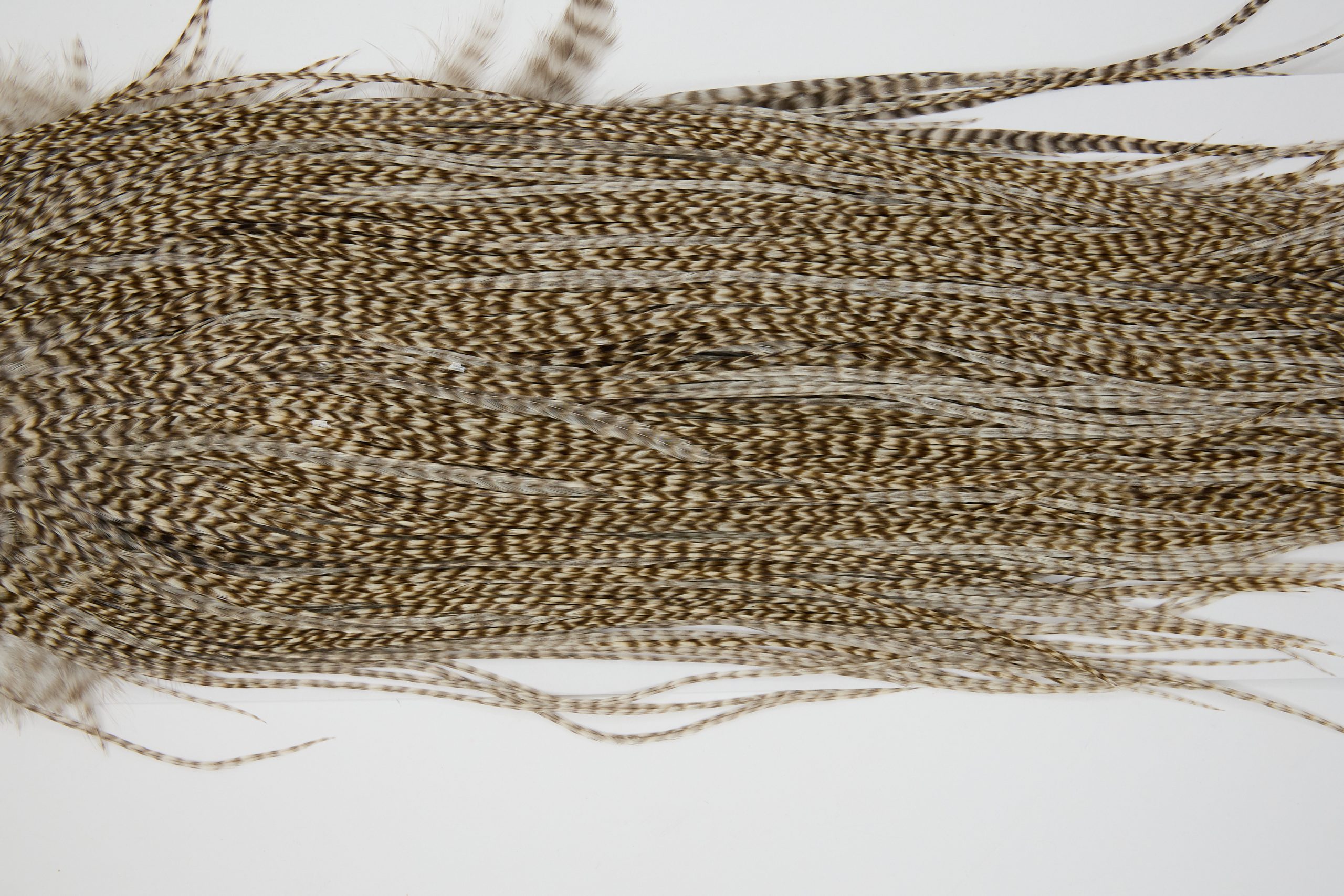 11206 Whiting Dry Fly Hackle Bronze Grade Rooster Saddle Dun Grizzly Ties Size 14-16