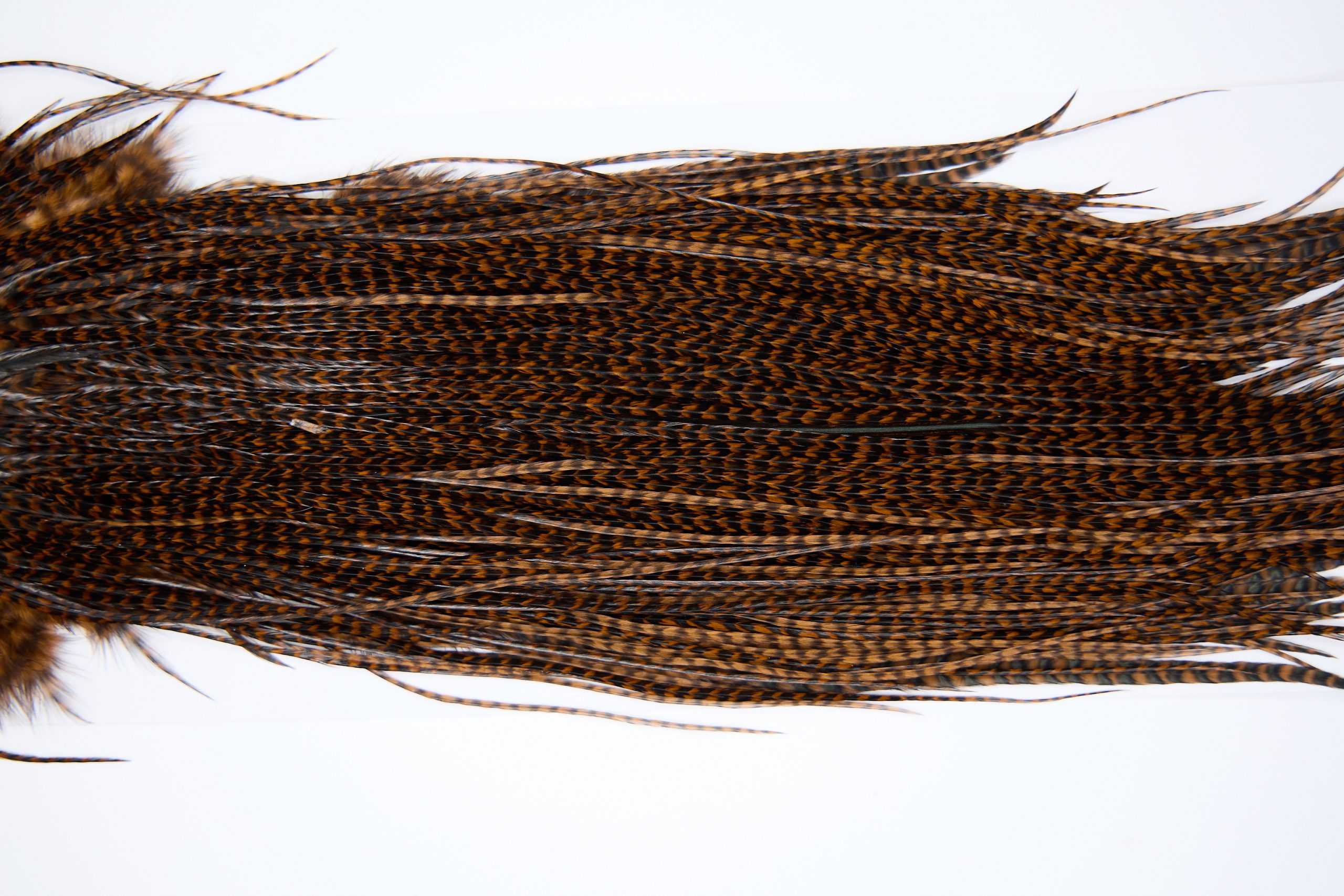 11236 Whiting Dry Fly Hackle Pro Grade Rooster Saddle Grizzly Brown Ties Size 16-18