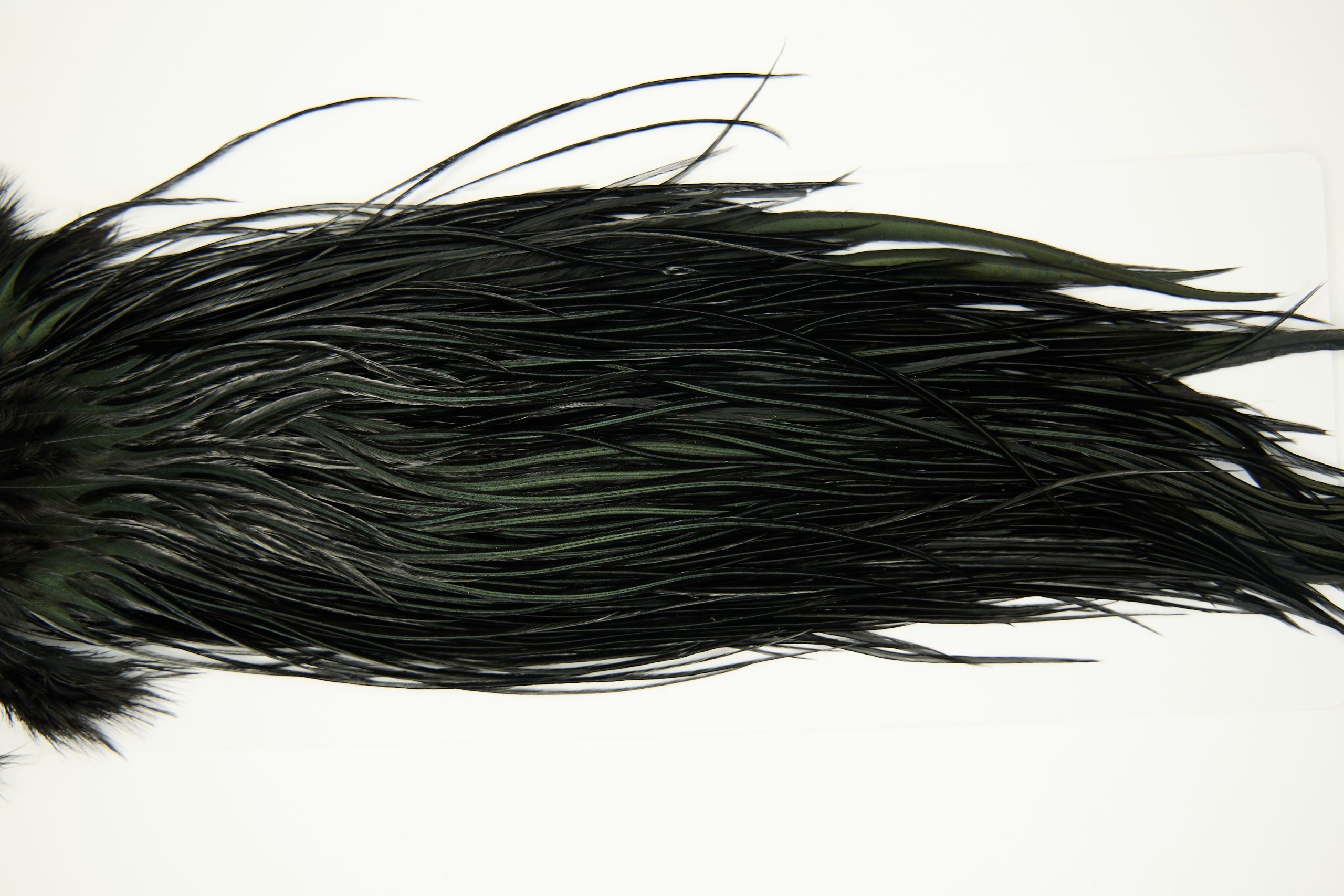 11246 Whiting Dry Fly Hackle Pro Grade Rooster Saddle Black Ties Size 16-18