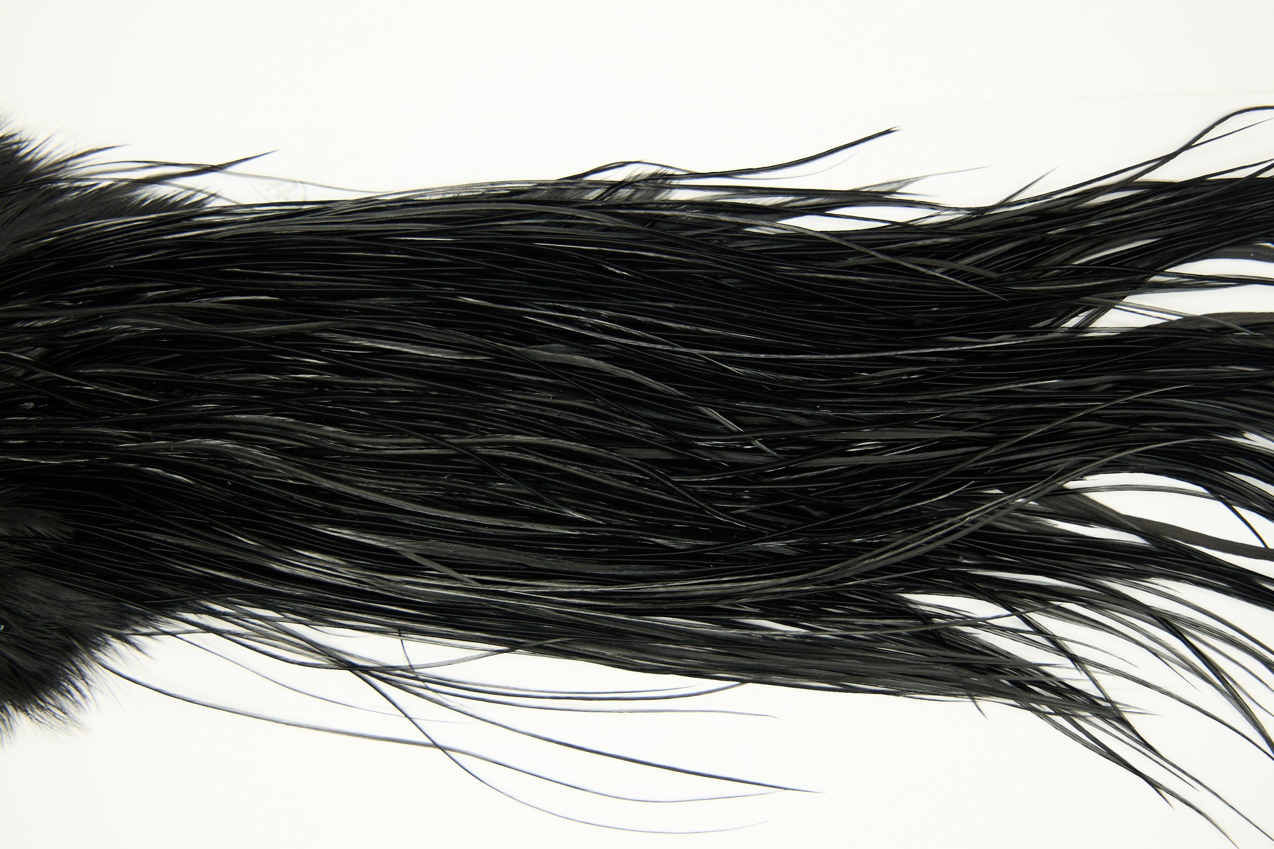 11247 Whiting Dry Fly Hackle Pro Grade Rooster Saddle Black Ties Size 16-18