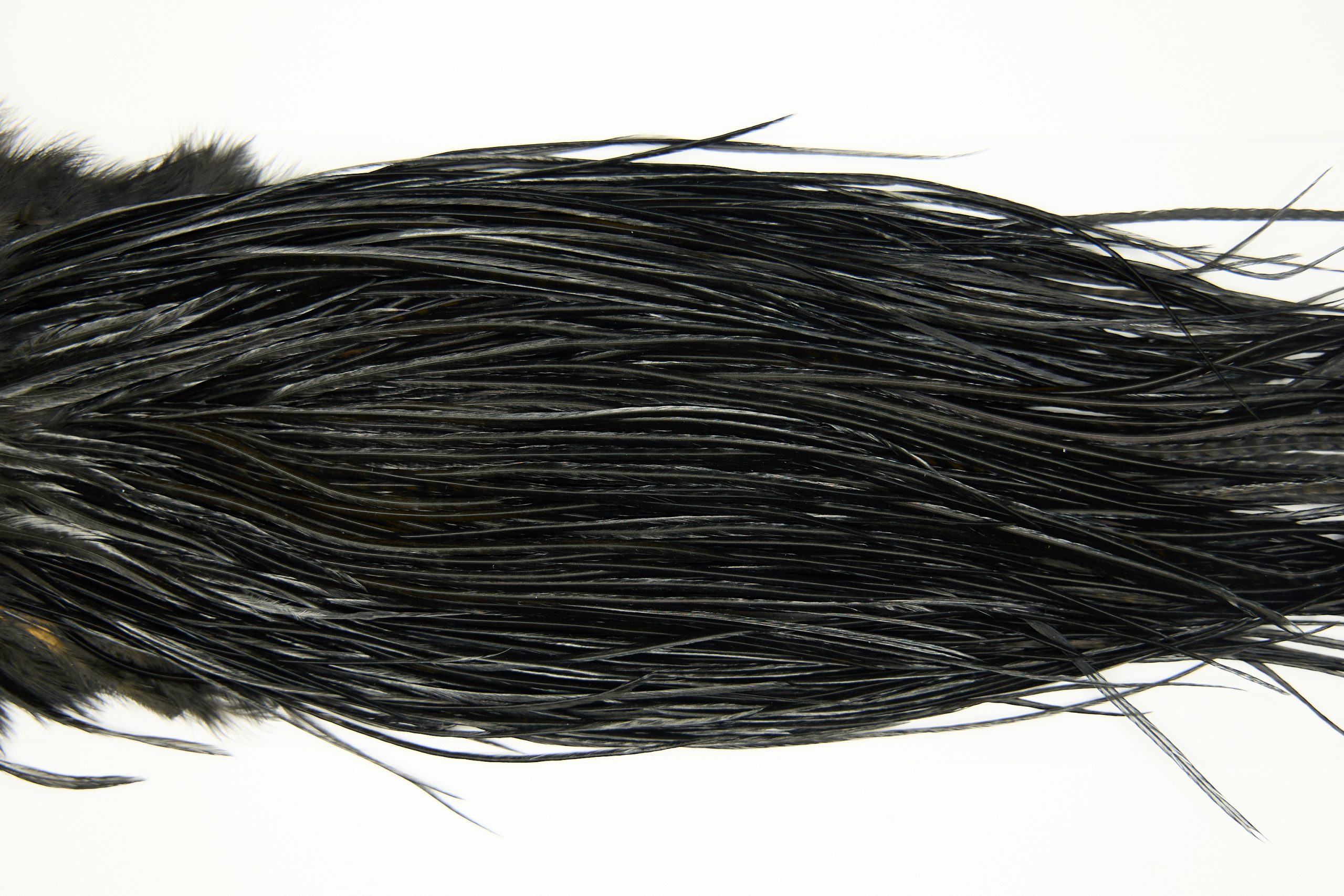 11248 Whiting Dry Fly Hackle Pro Grade Rooster Saddle Black Ties Size 12-16