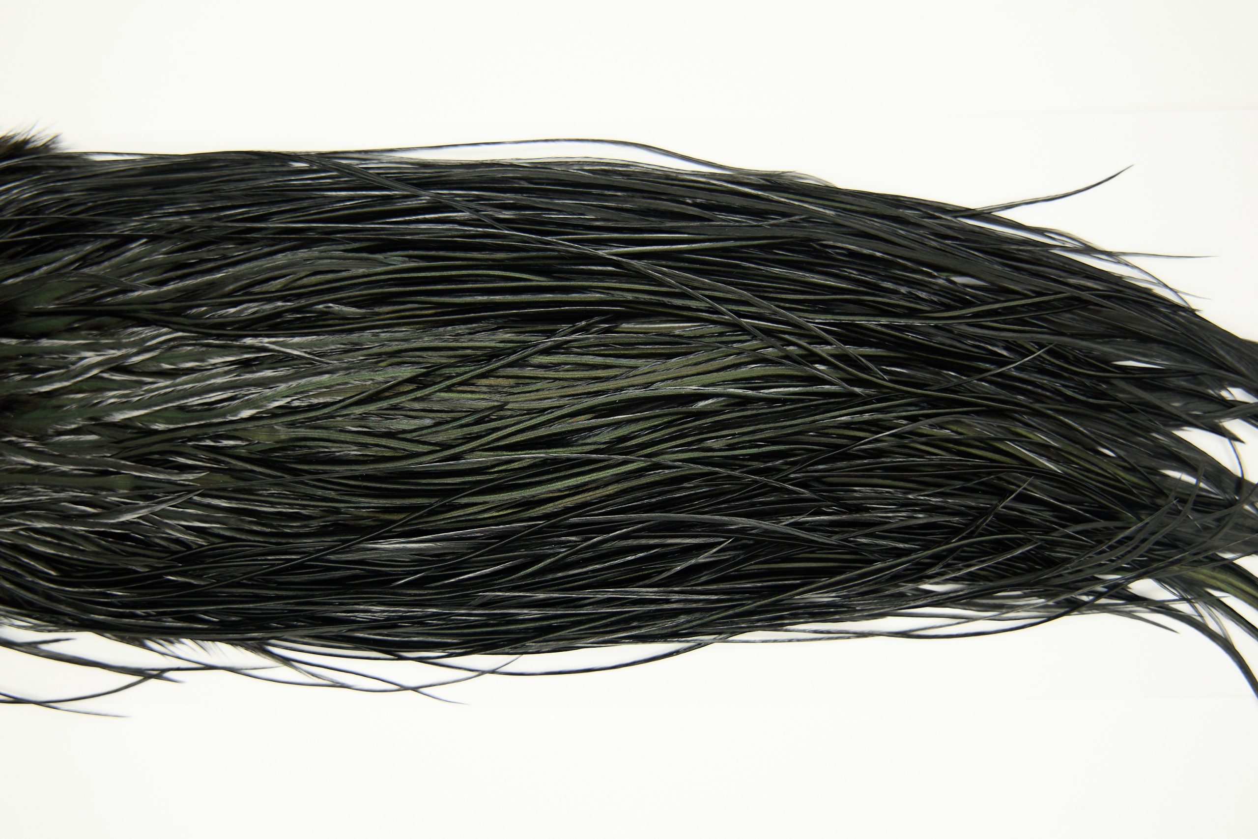 11249 Whiting Dry Fly Hackle Pro Grade Rooster Saddle Black Ties Size 16-18